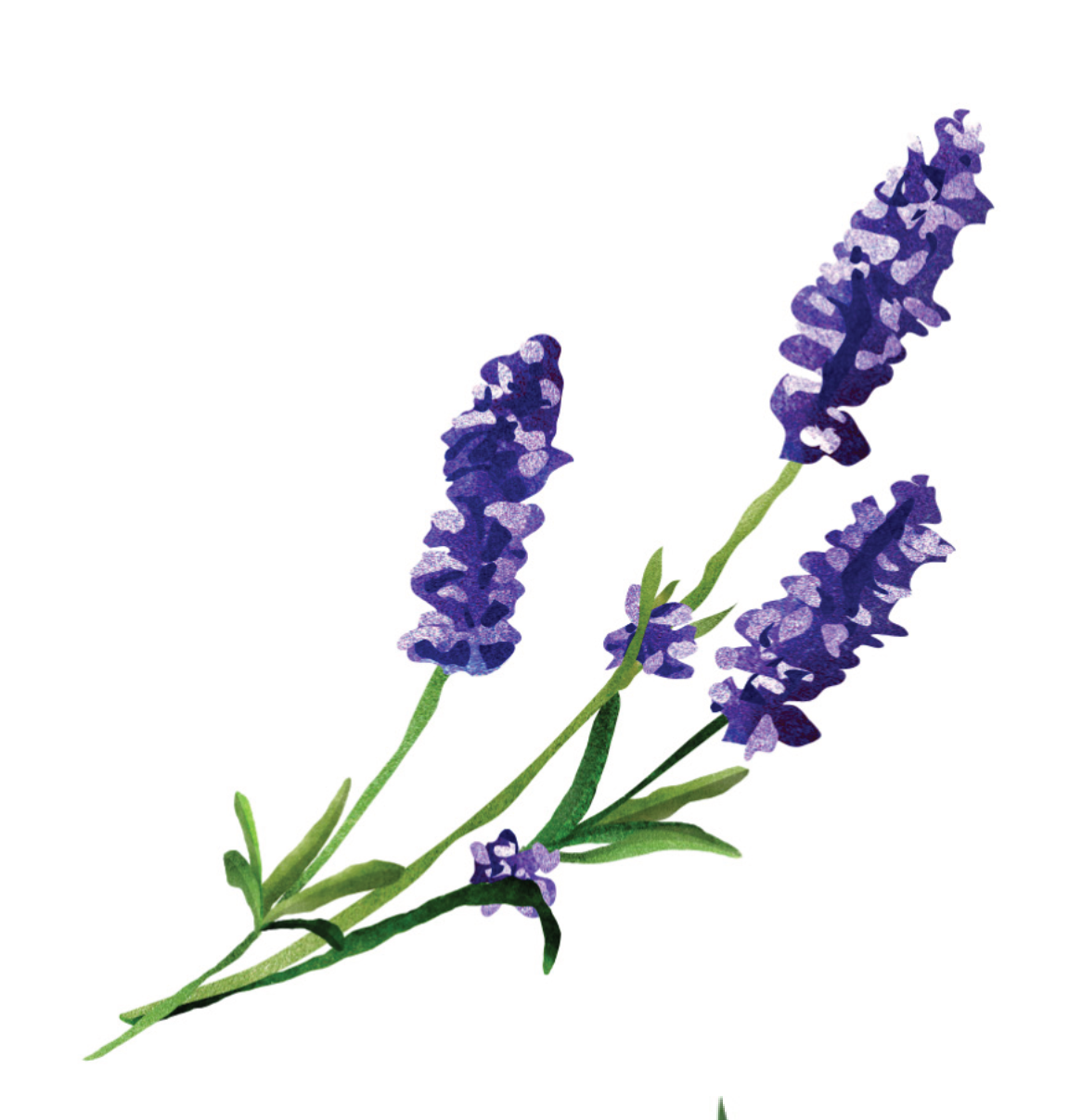 Screenshot 2026-02-11 at 13.58.07.png