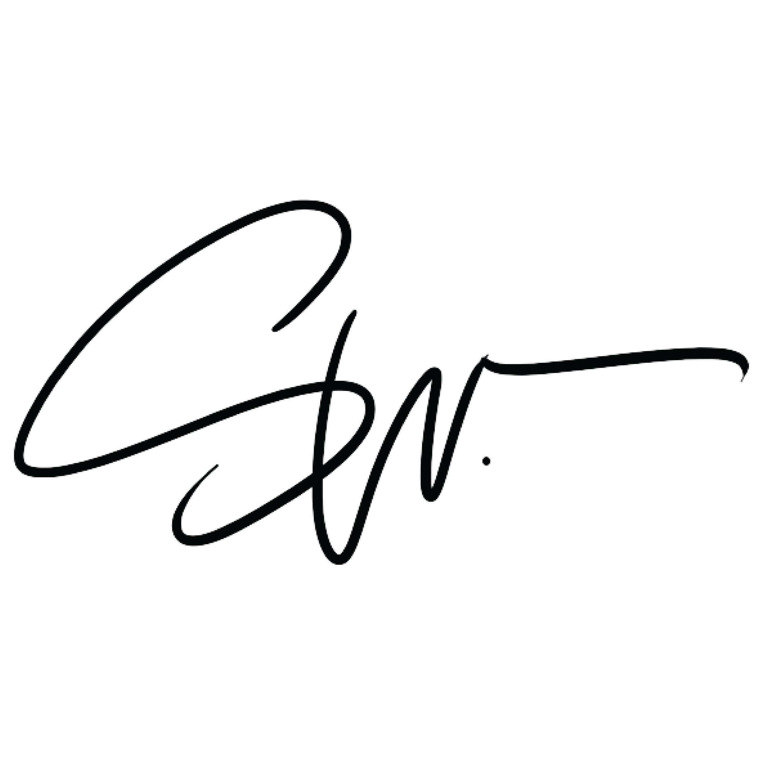 Stylized signature in black ink with a blue oval shape surrounding part of the signature