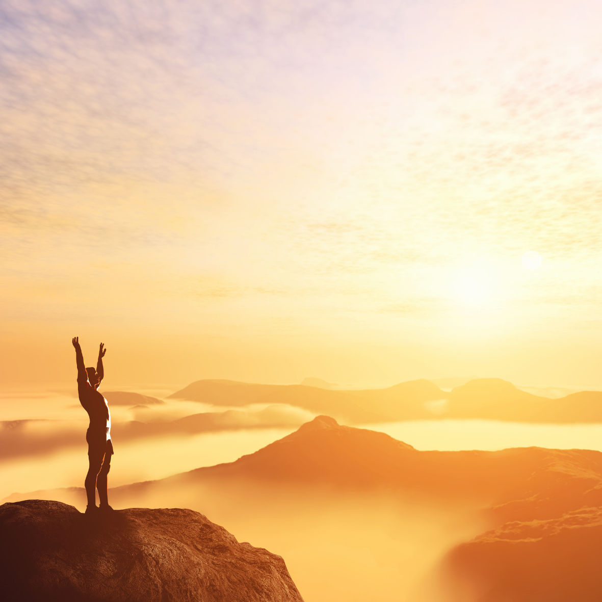 Ongoing Coaching + Support