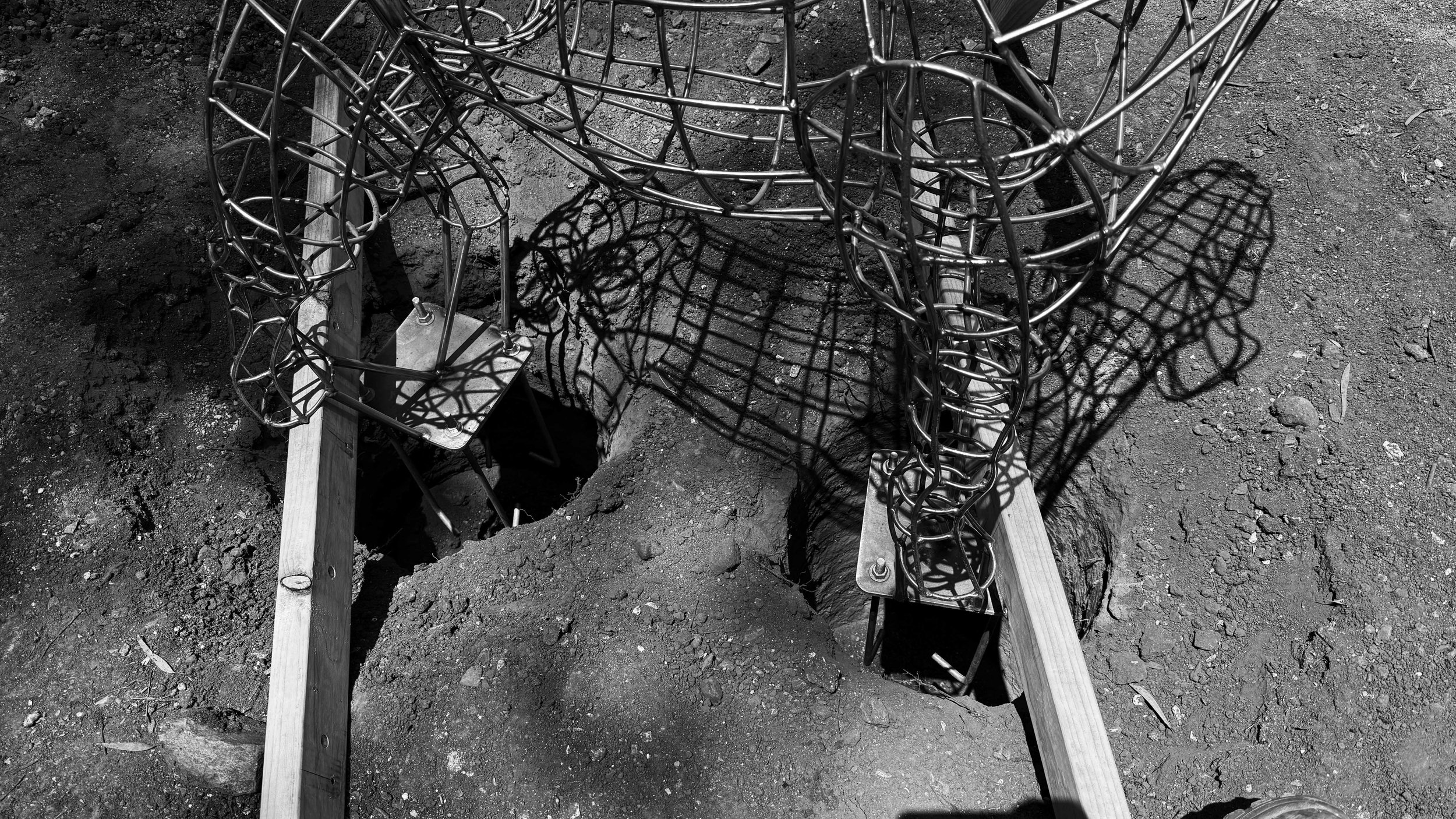 Coming Soon - Charlie and Bella