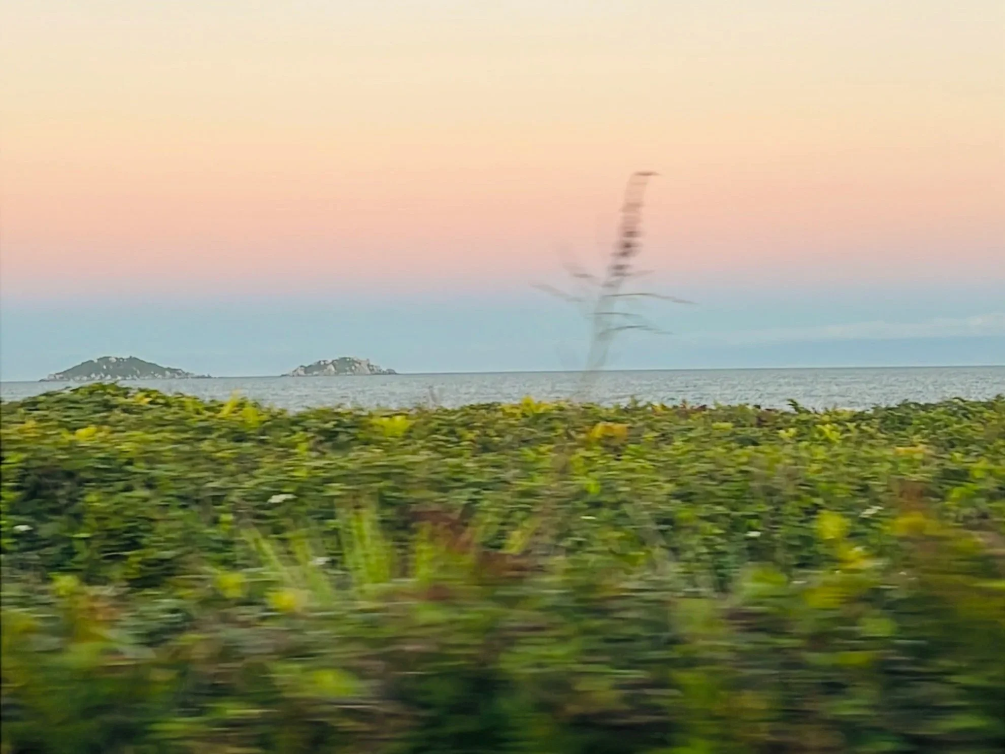 Natureza, Antagonista Do Homem?