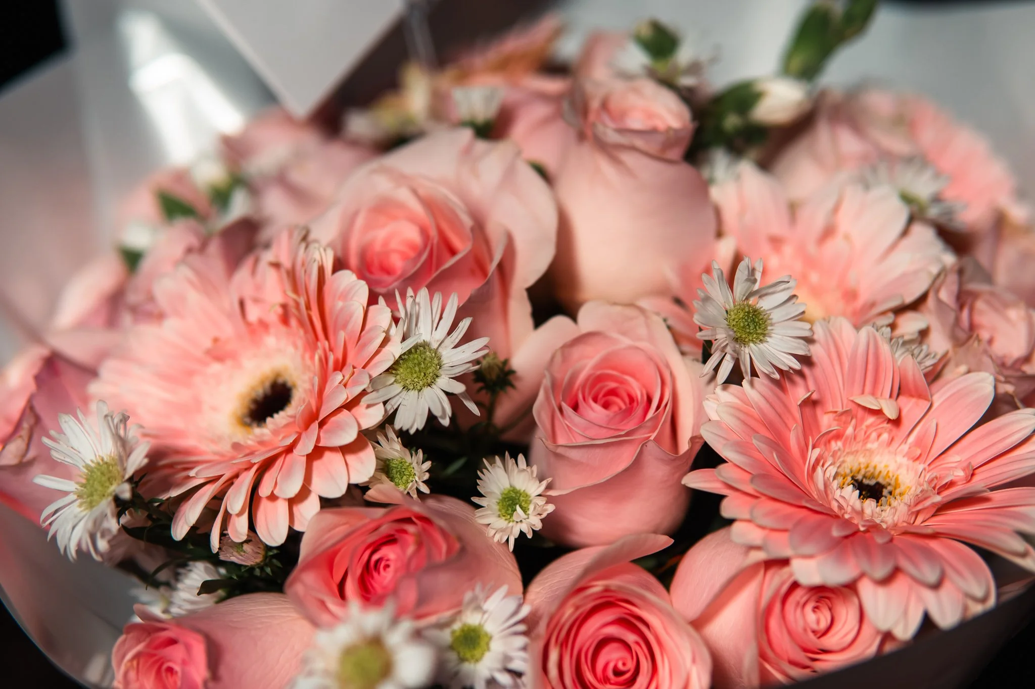 Sesión Jr Y Valeria-66.jpg