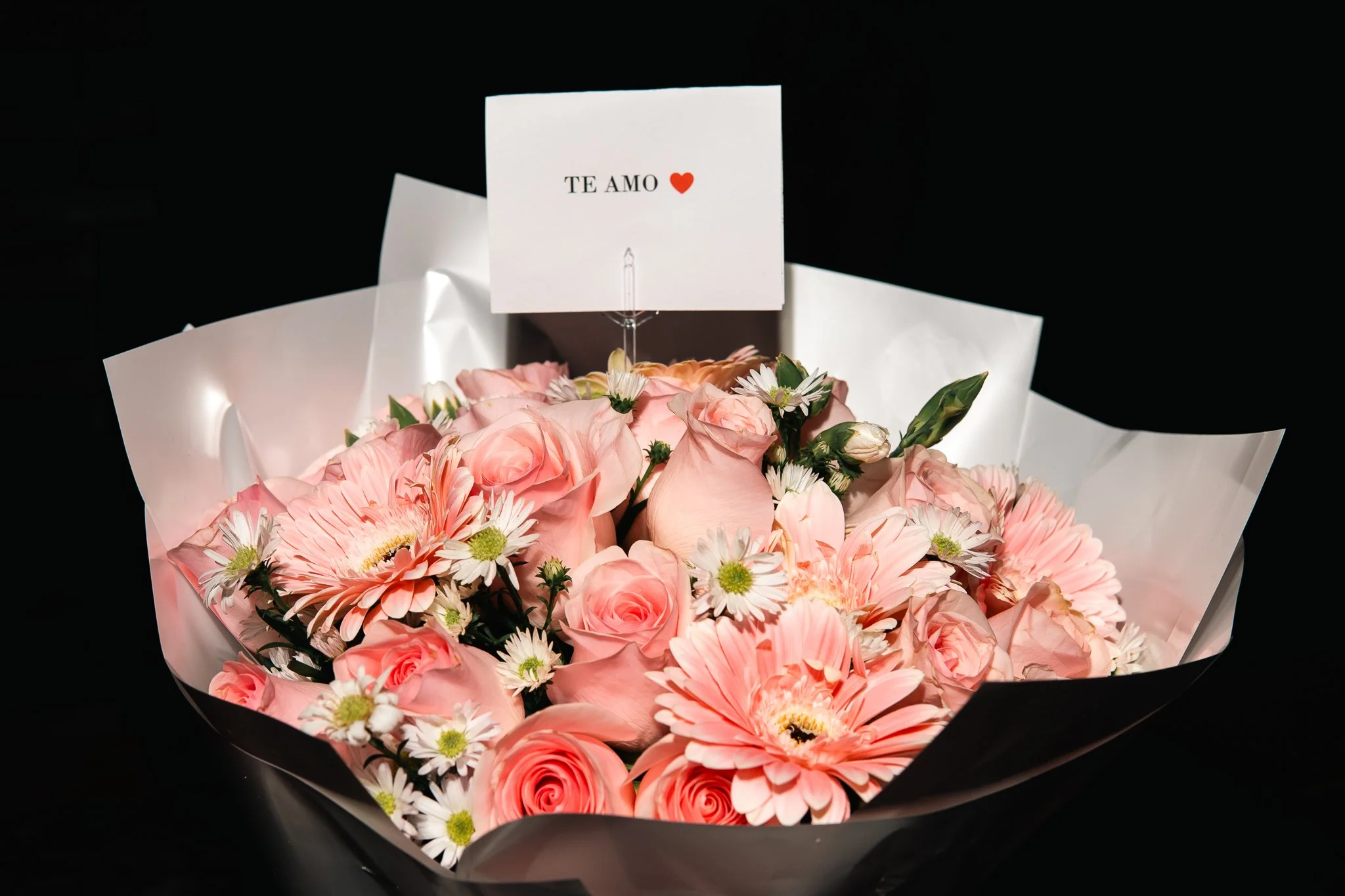 Sesión Jr Y Valeria-64.jpg