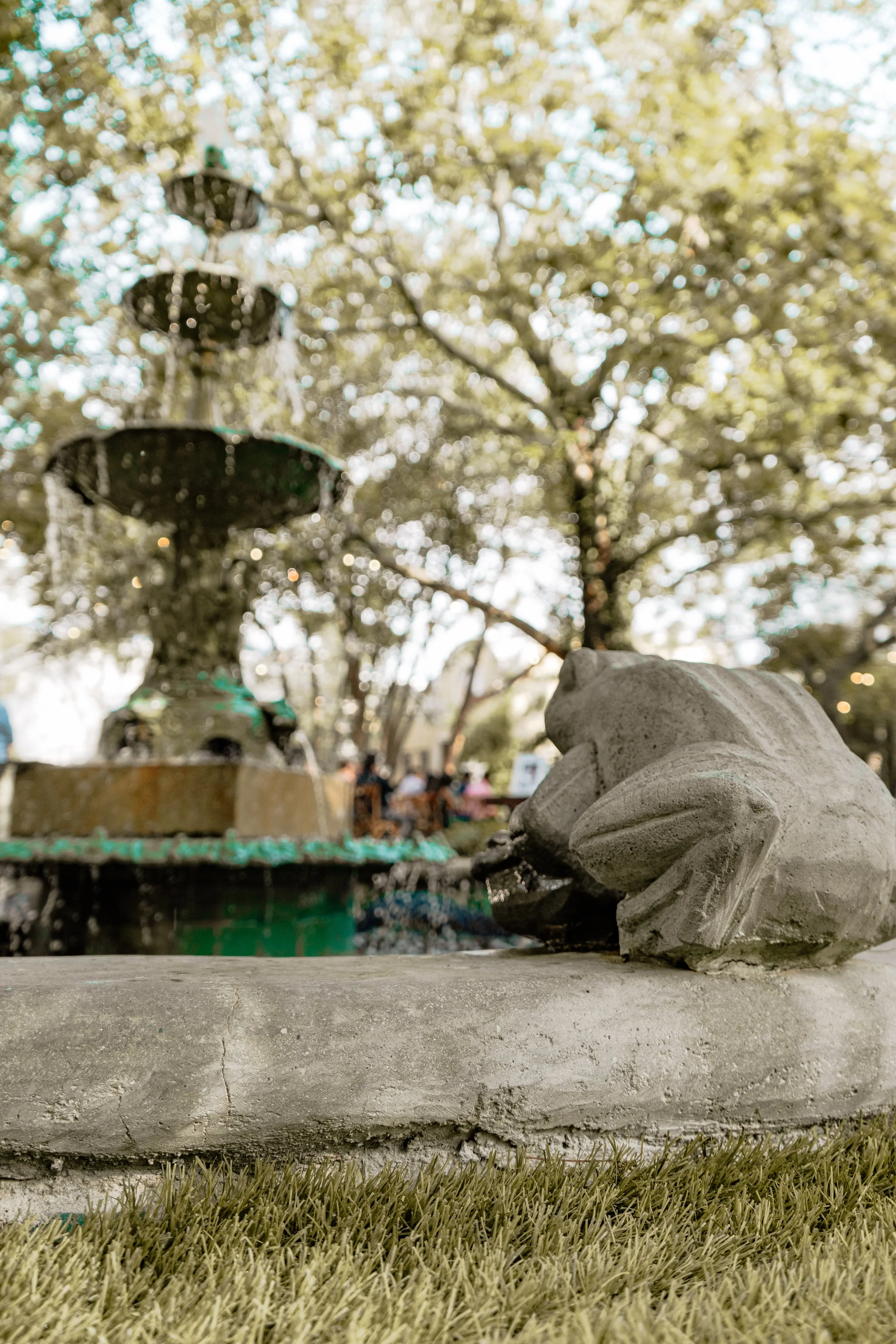 Fuente decorativa con estanque y figura de rana en un parque, con árboles y gente en el fondo.