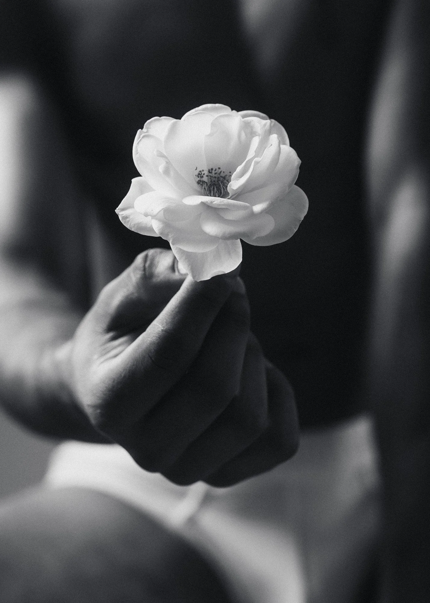 yannis_tzannis_photography (4).jpg