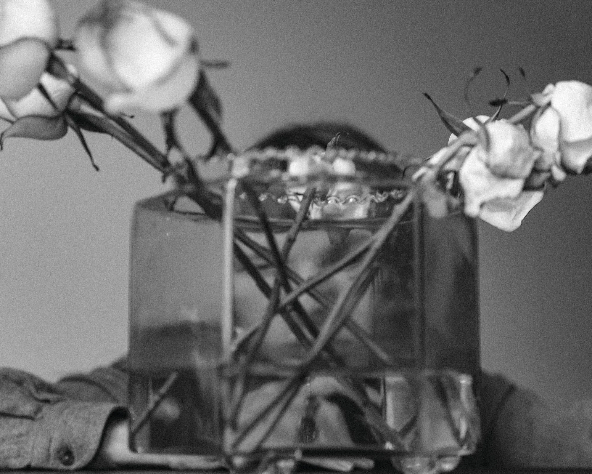 yannis_tzannis_photography (78).jpg