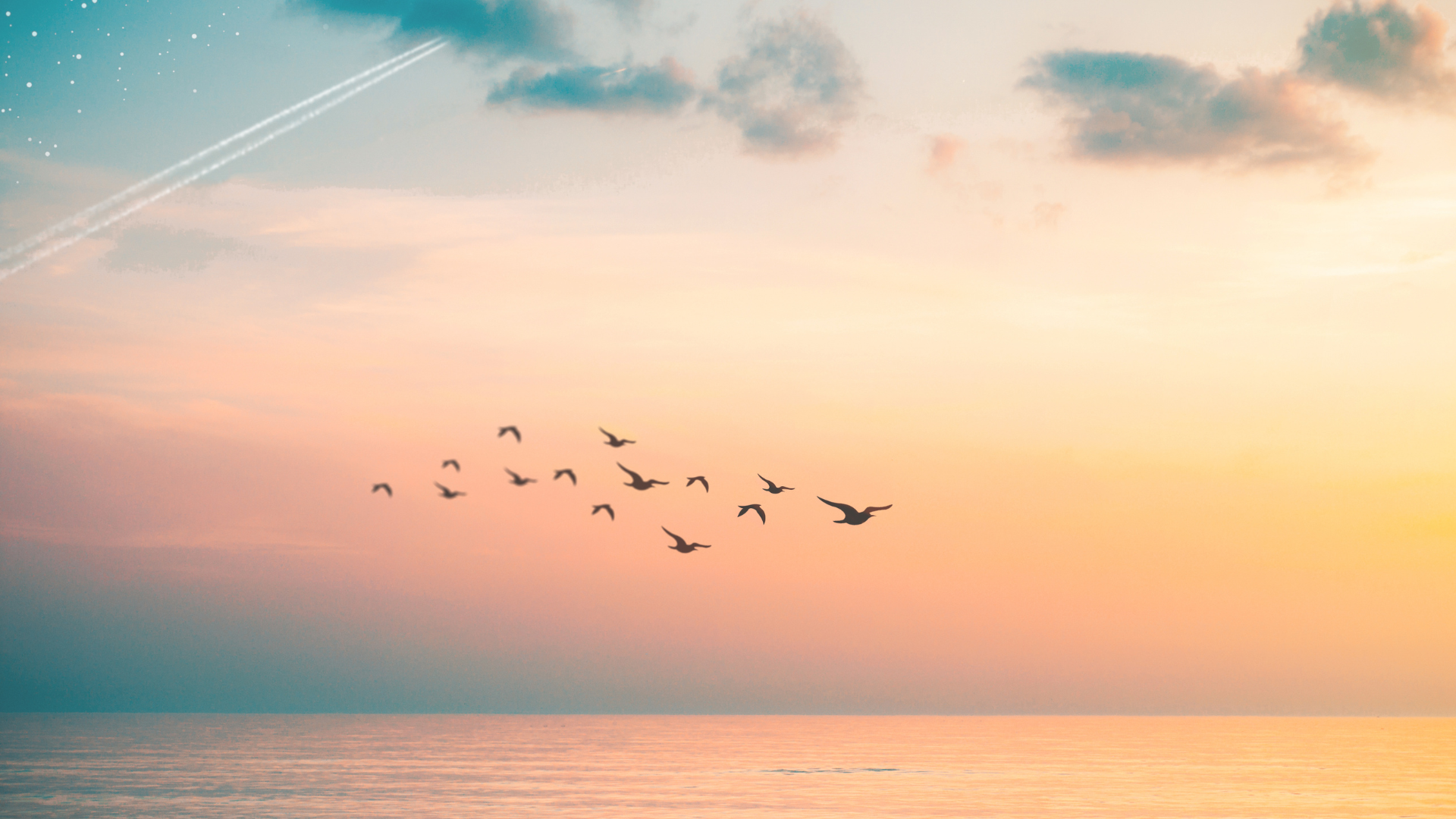 What Does an Online Business Manager Actually Do? (And Do You Need One?)