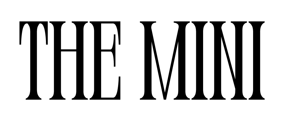 Black silhouette of a cat with a long tail against a white background.