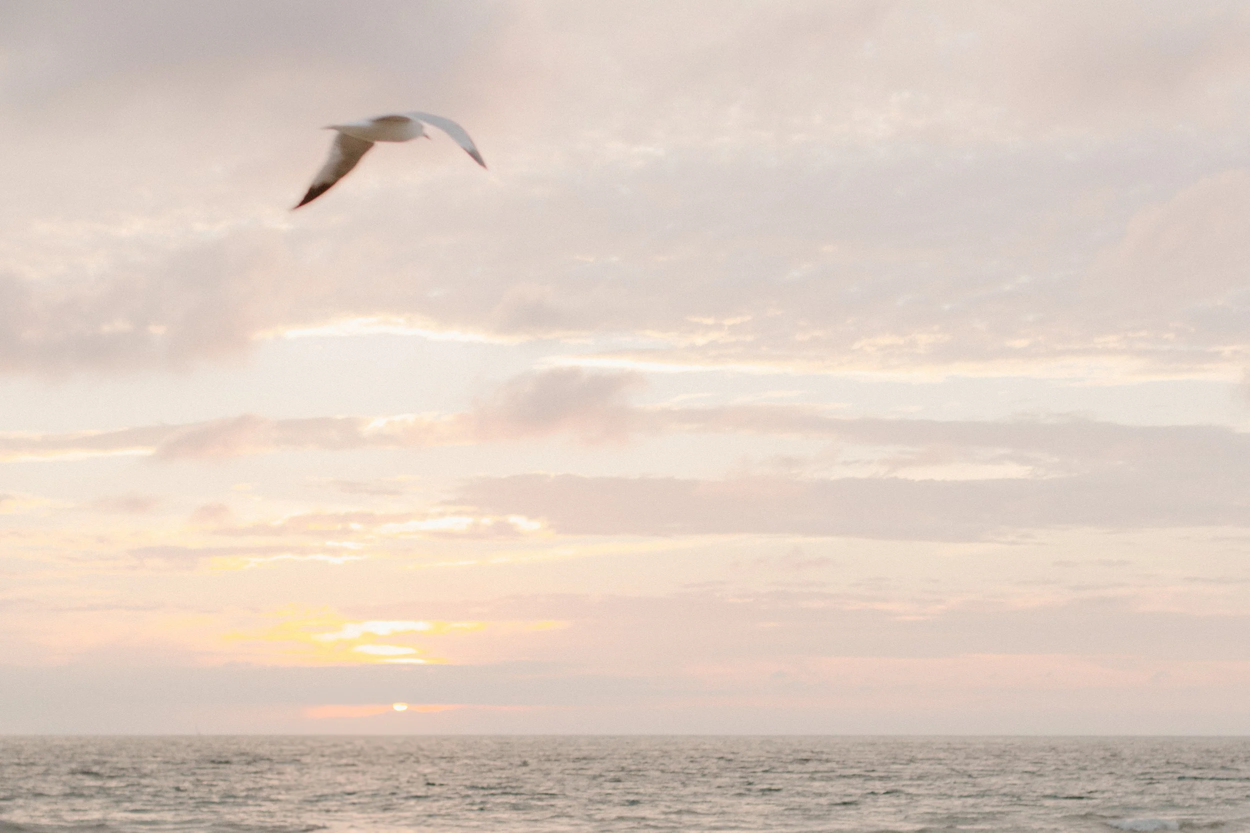 A seagull flying over the ocean at sunset with a cloudy sky.