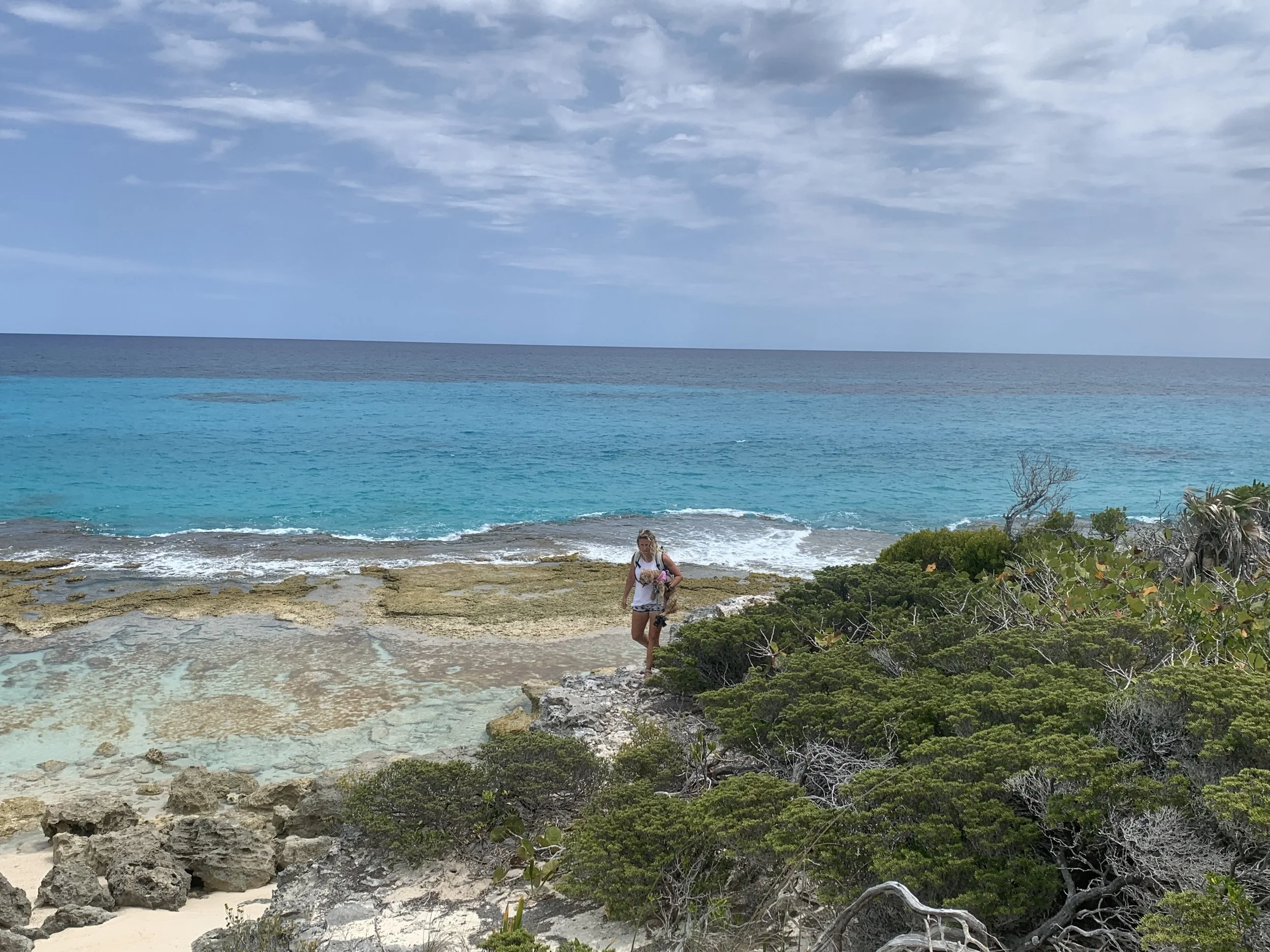 Snakes, Sharks, &amp; Sailing