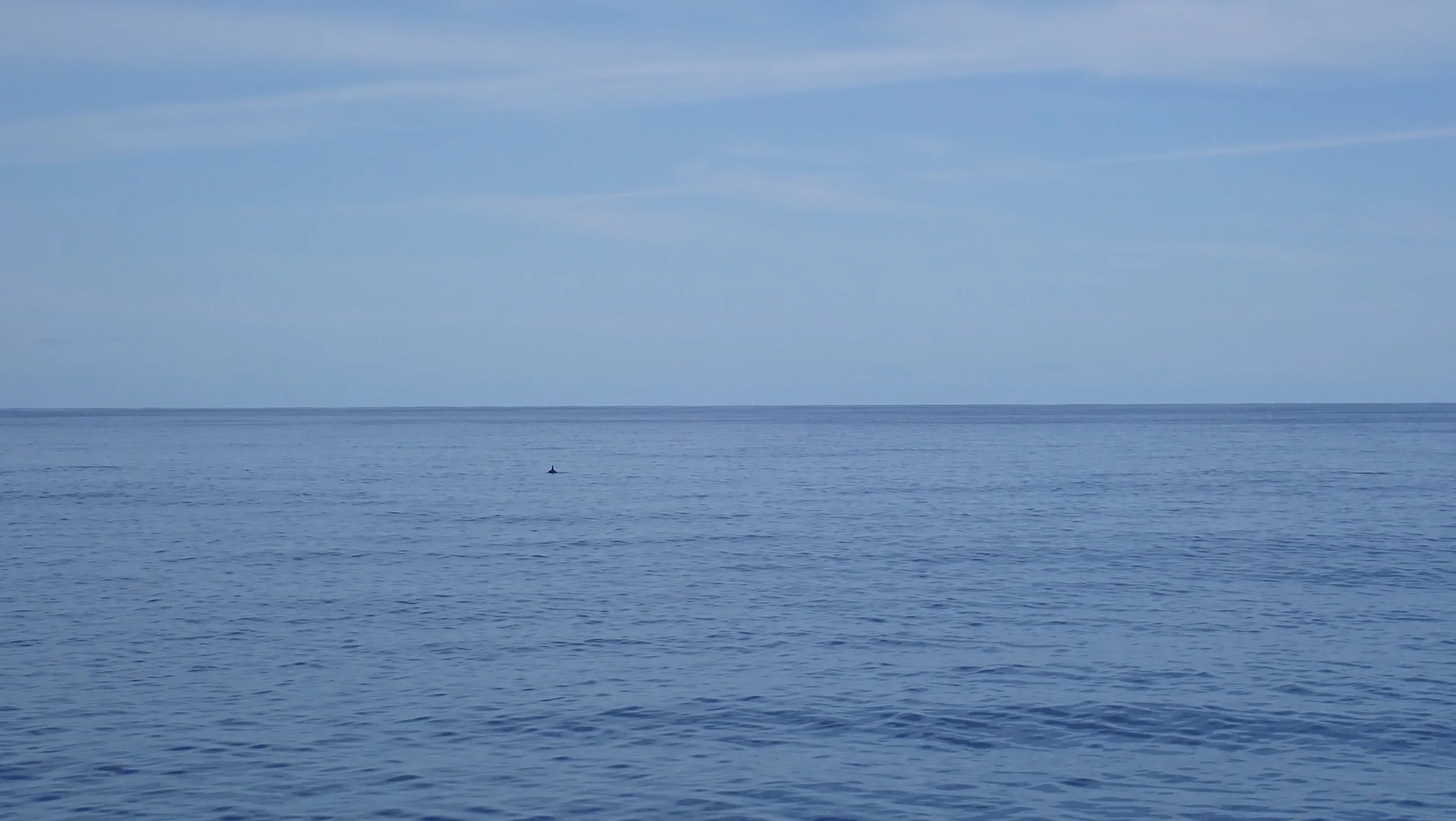 Beaufort To Bermuda | Day 2