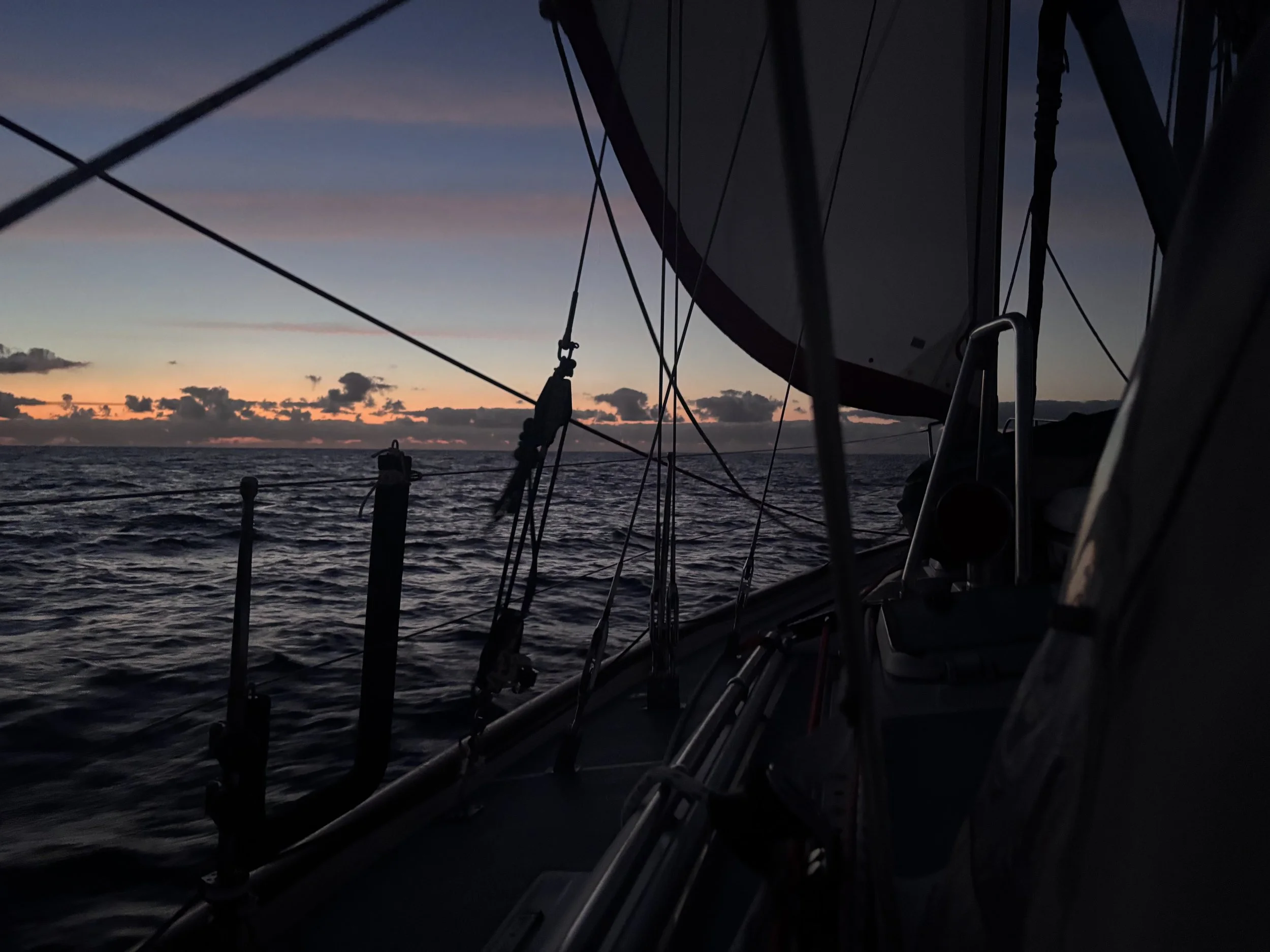 Beaufort to Bermuda | Day 4