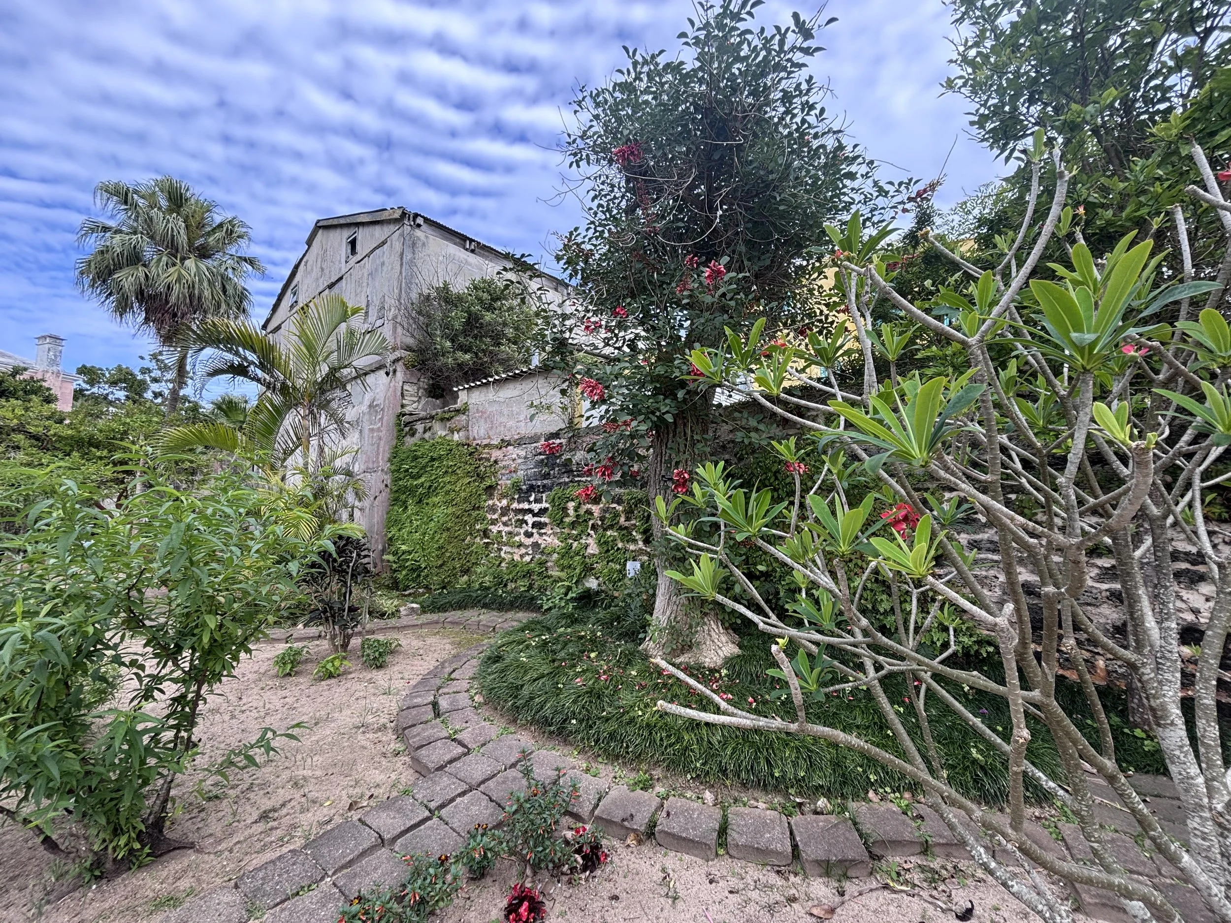 Bermuda Recap