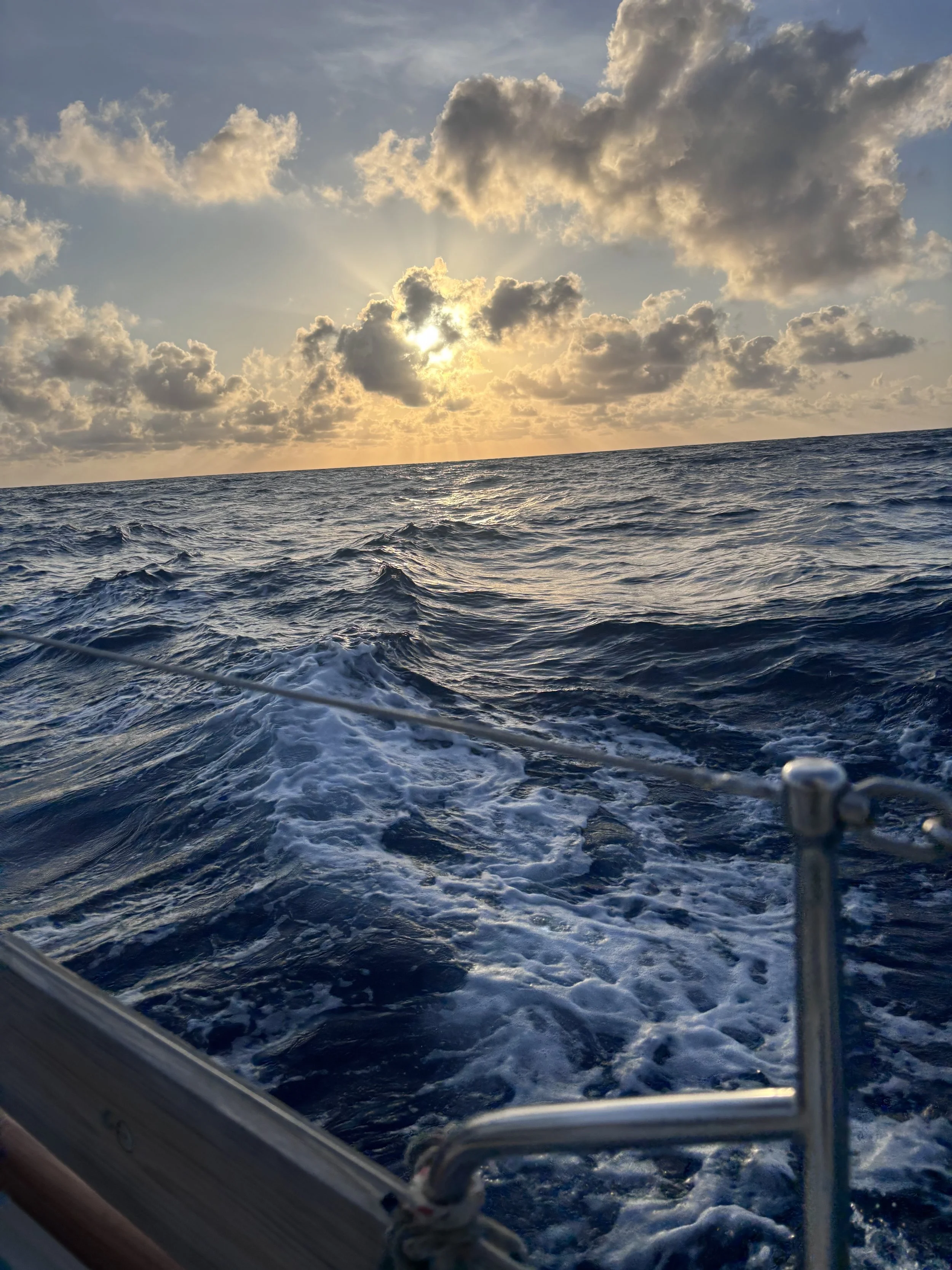 Bermuda to Azores | Day 3 
