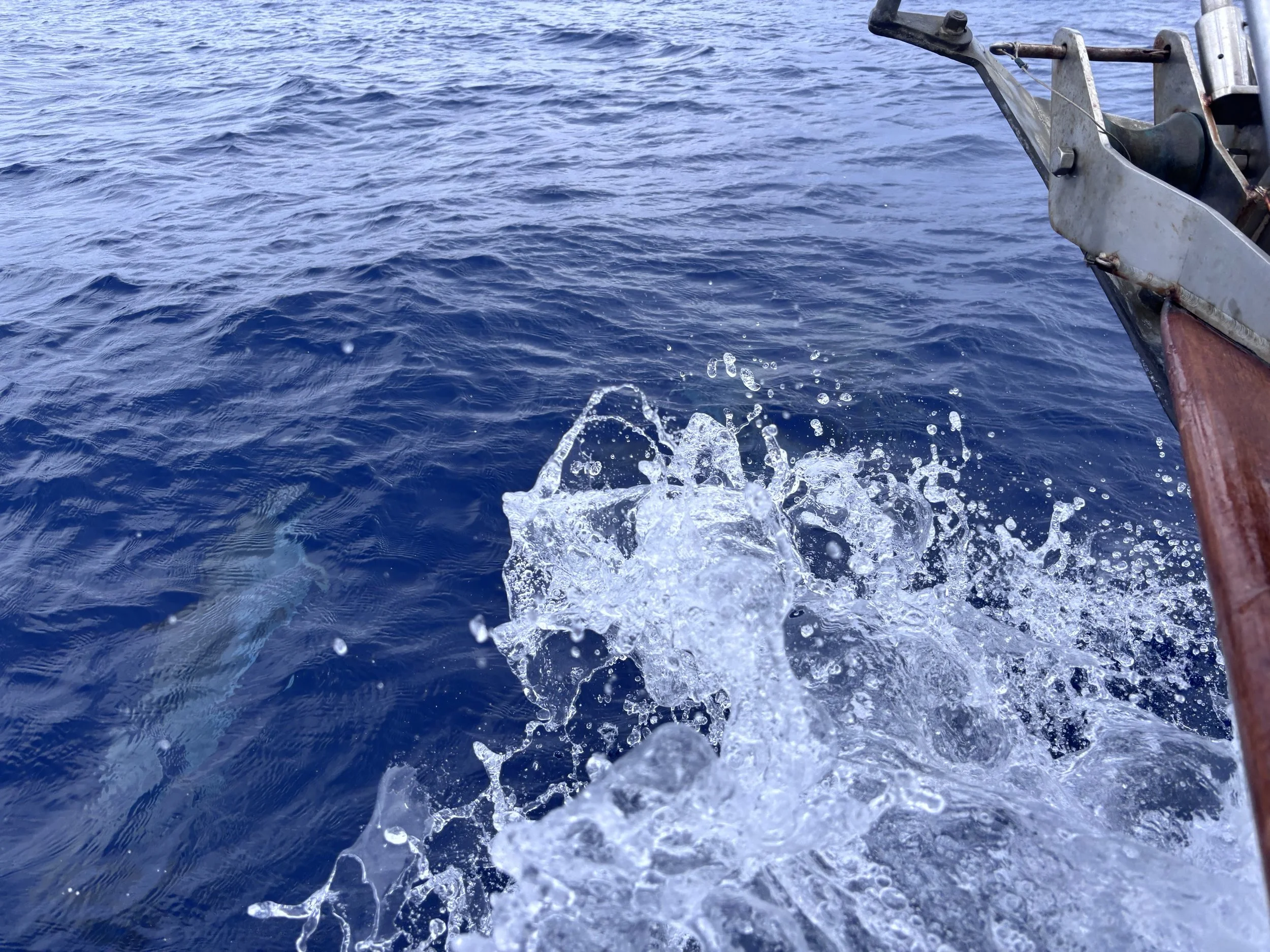 Bermuda to Azores | Day 7