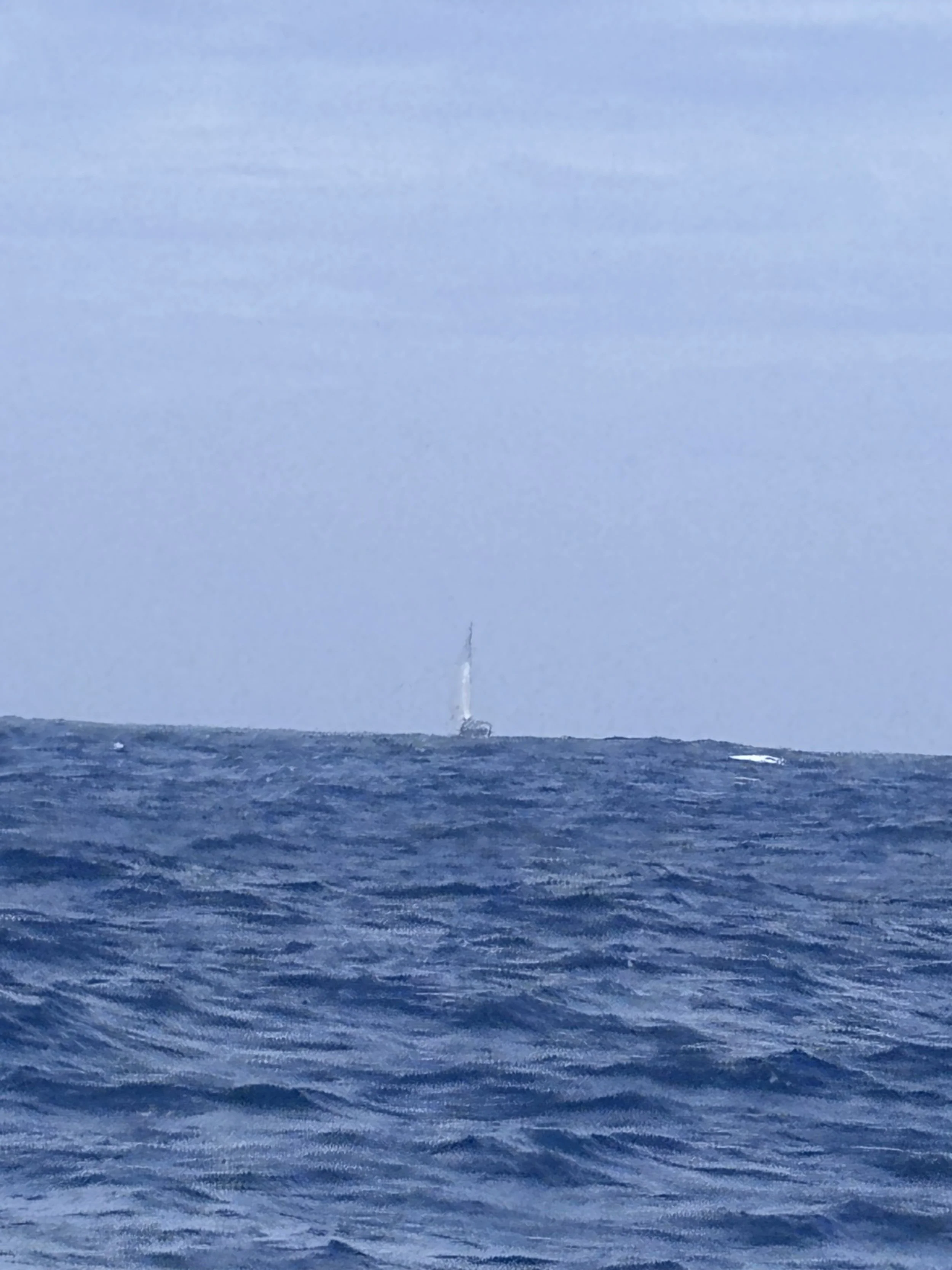 Bermuda to Azores | Day 13