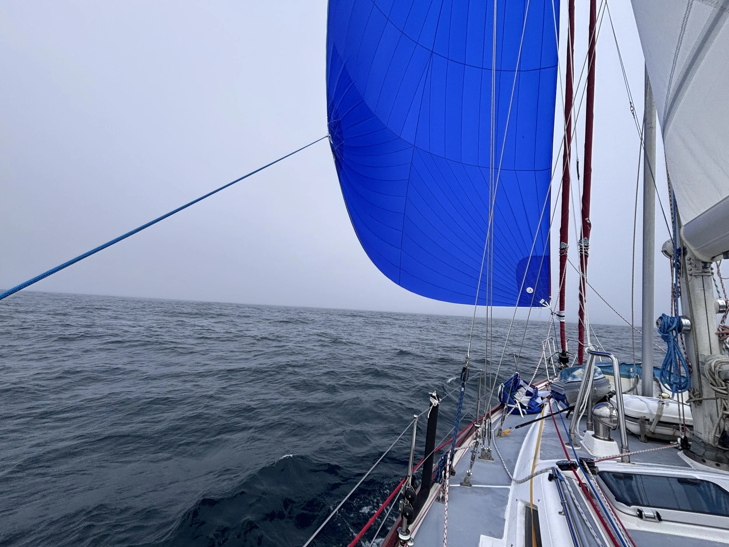 Azores to Ireland | Day 7