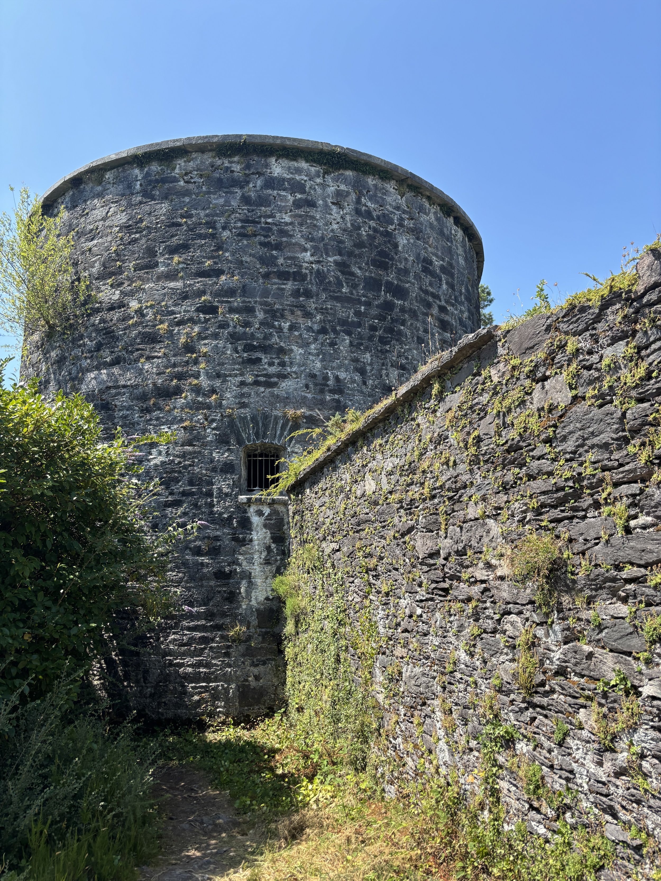 IMG_3935.jpeg