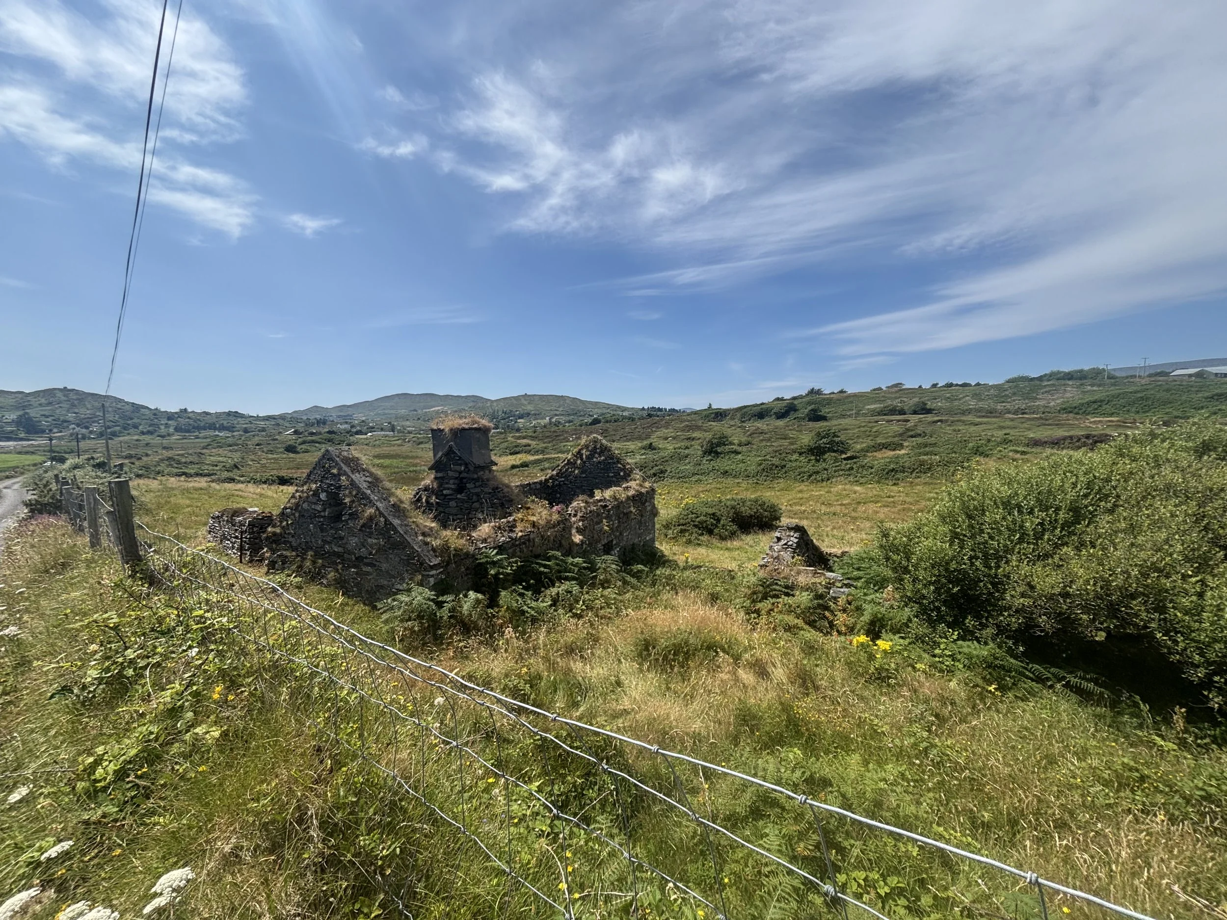 IMG_4203.jpeg
