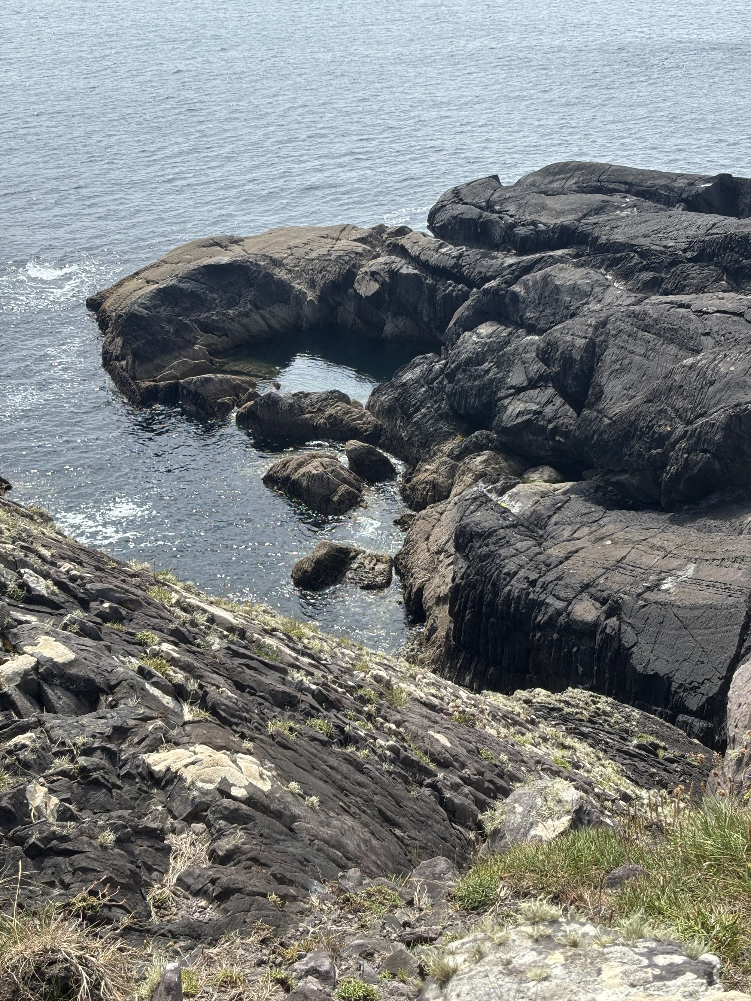 IMG_4823.jpeg