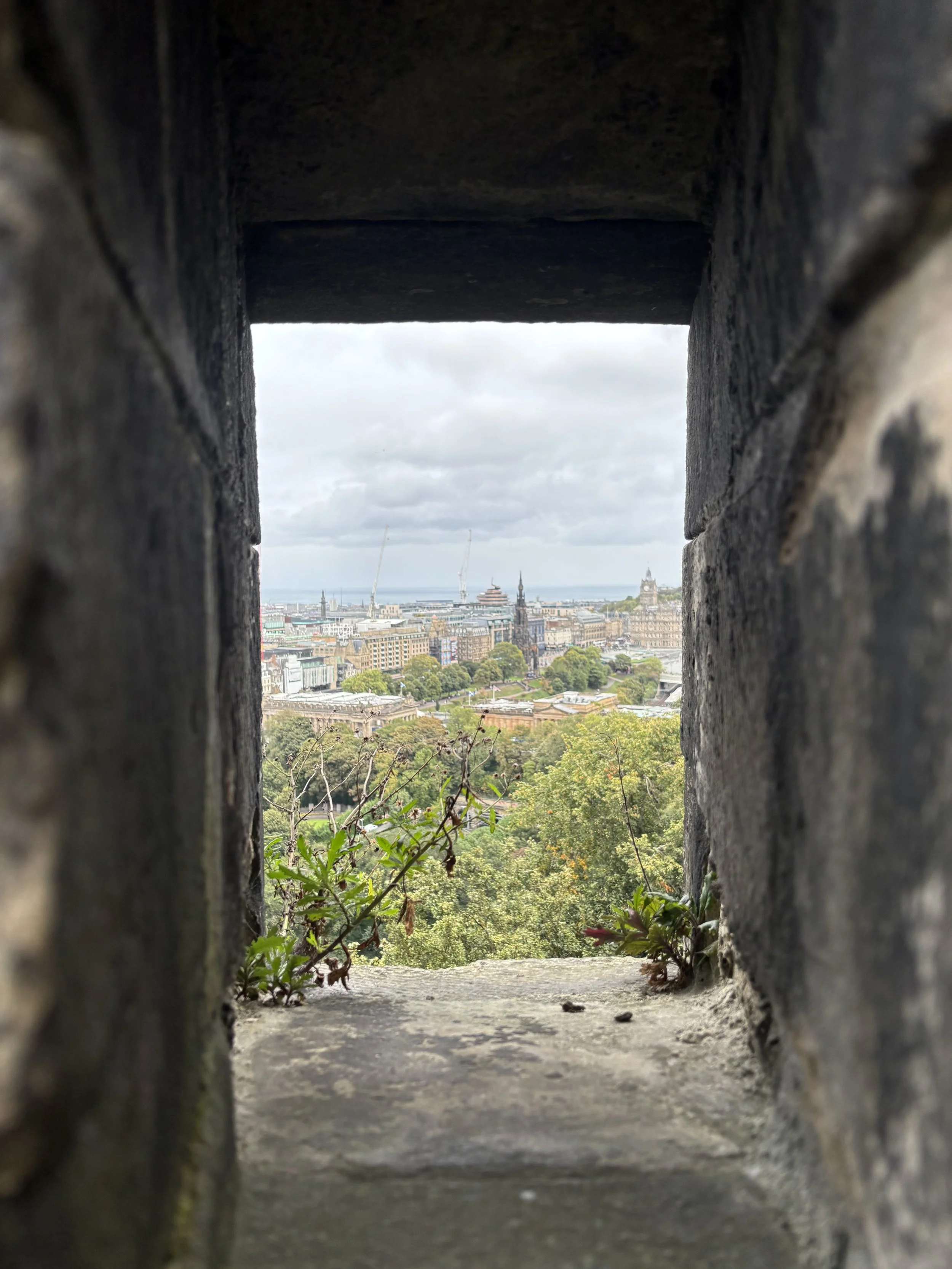 IMG_0456.jpeg