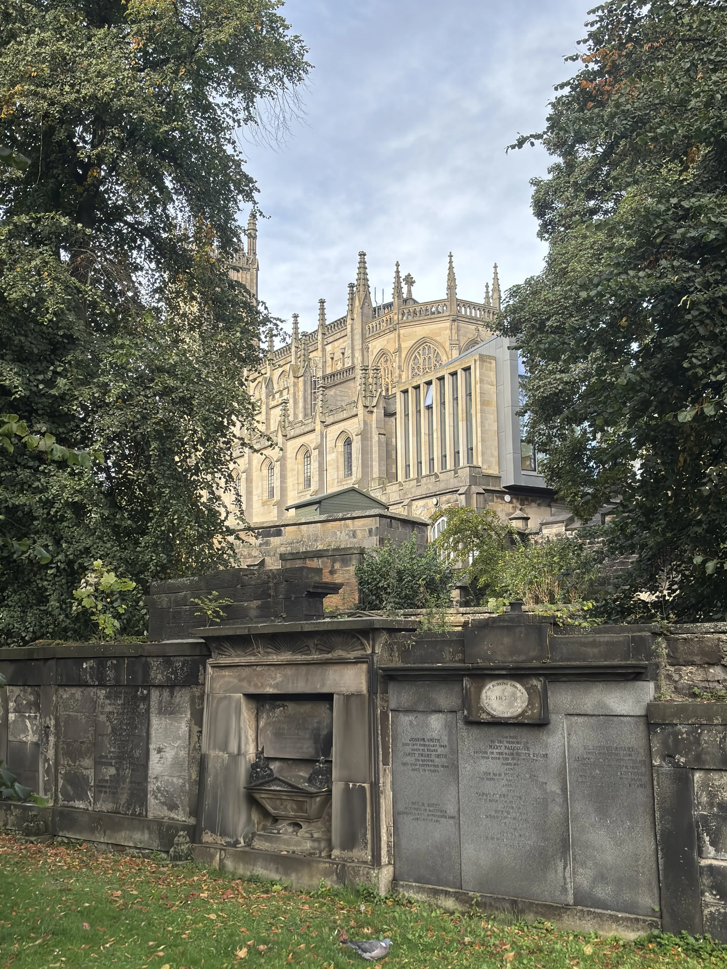 IMG_0637.jpeg