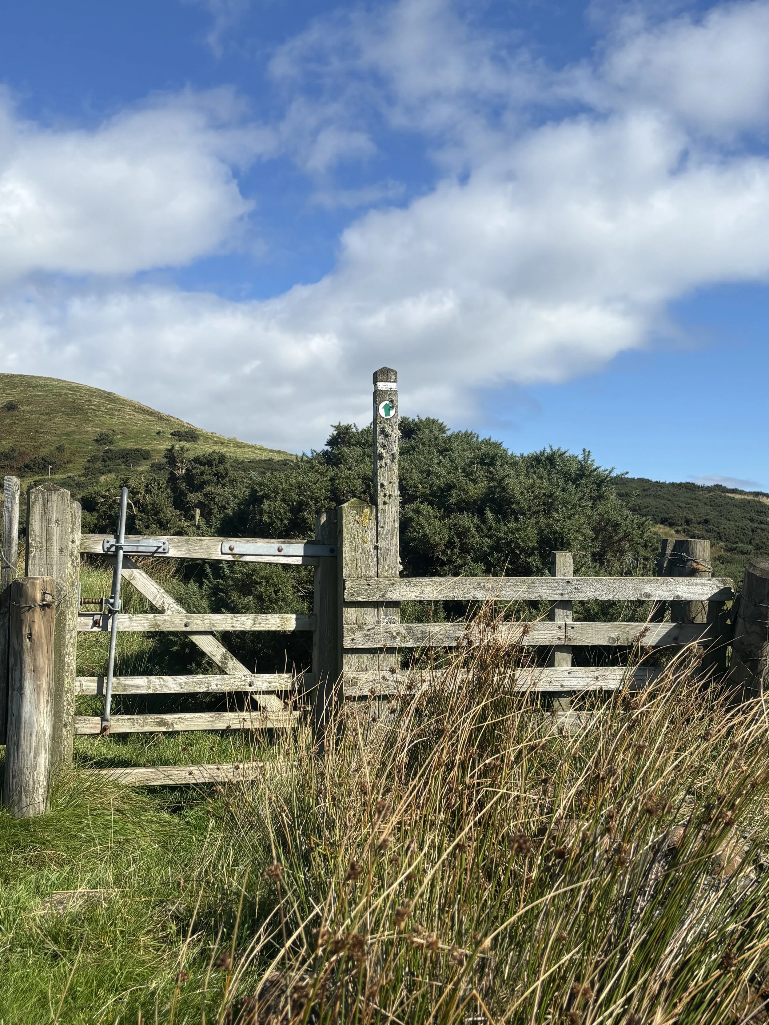 IMG_9484.jpeg