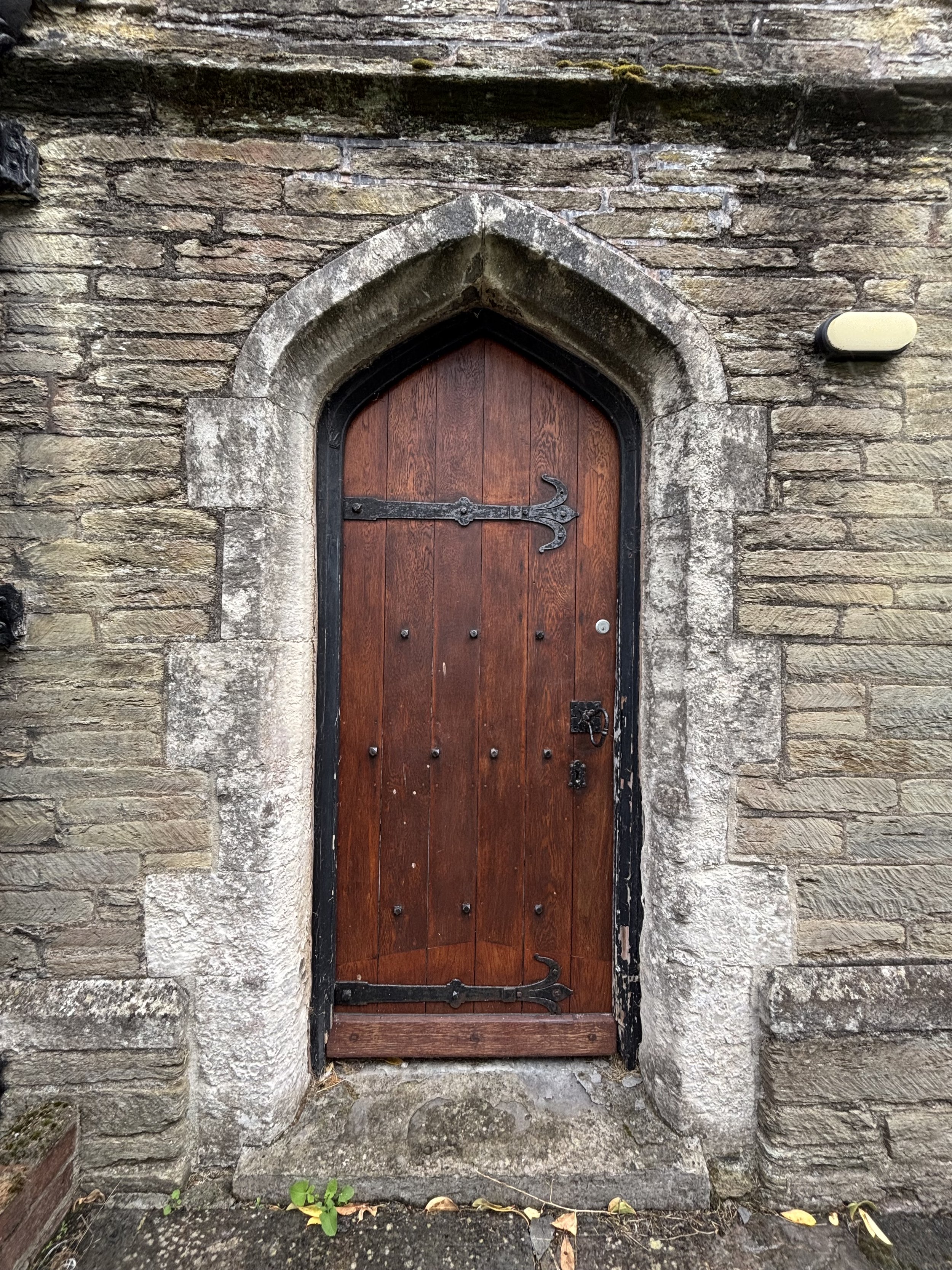 IMG_1807.jpeg