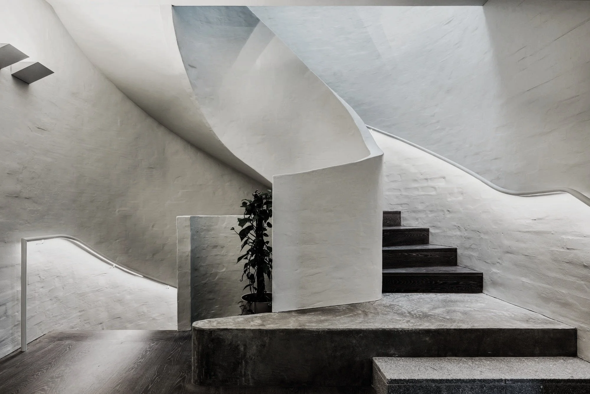 Minimalist white staircase with dark steps and a potted plant, featuring curved walls and a modern design.