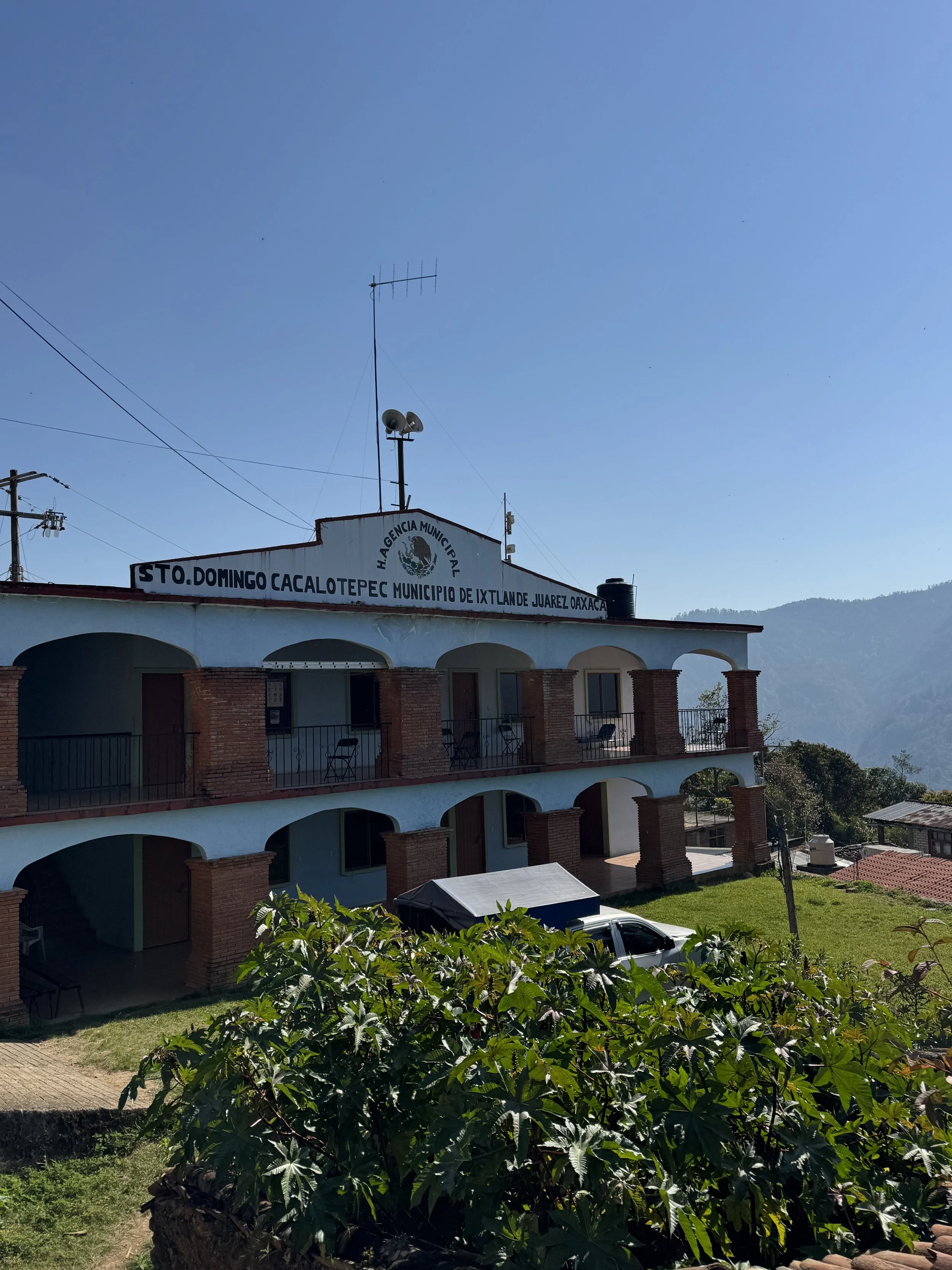 Santo Domingo Cacalotepec (Rayela), Oaxaca – Community Context for Coffee Buyers