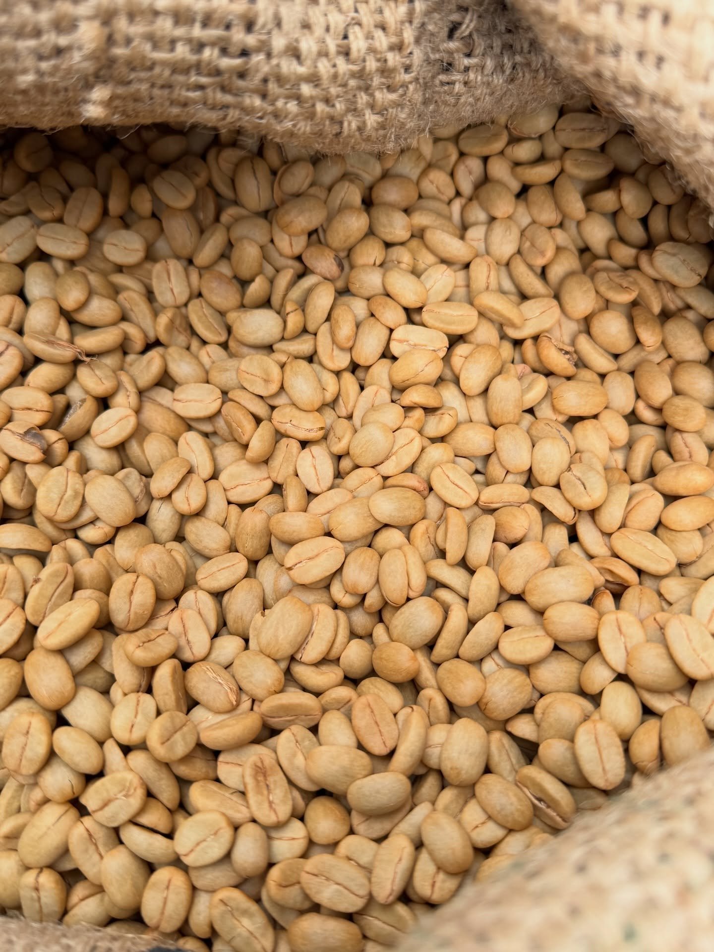 Living with Rebeca and her family this season has allowed me to understand more deeply how life in the beautiful community truly works and it isn&rsquo;t easy. 

We know that in theory. But it&rsquo;s only when you work alongside them, live the same 