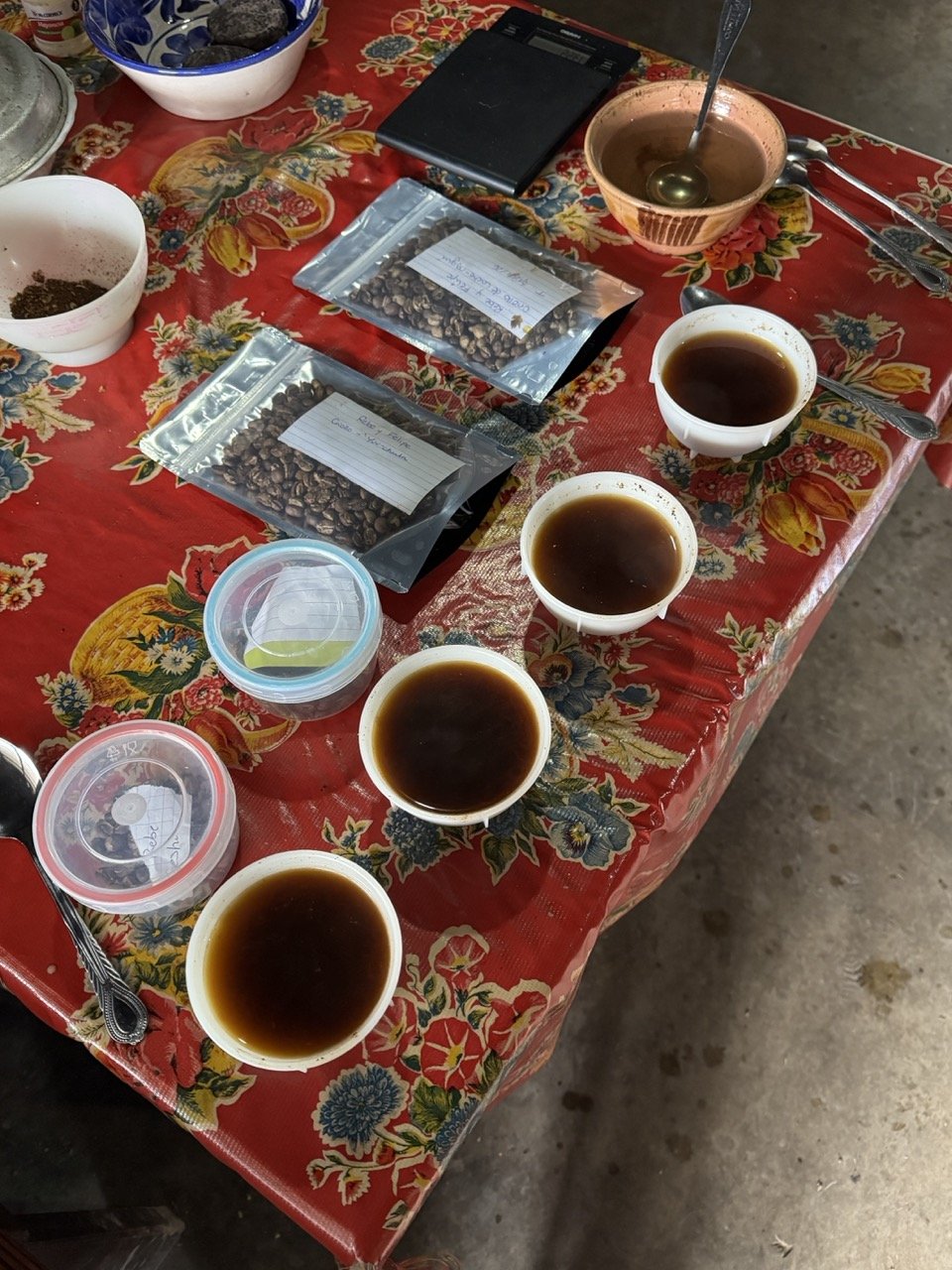 How We Do Things: Our Coffee Supply Chain in Oaxaca (founder’s note)