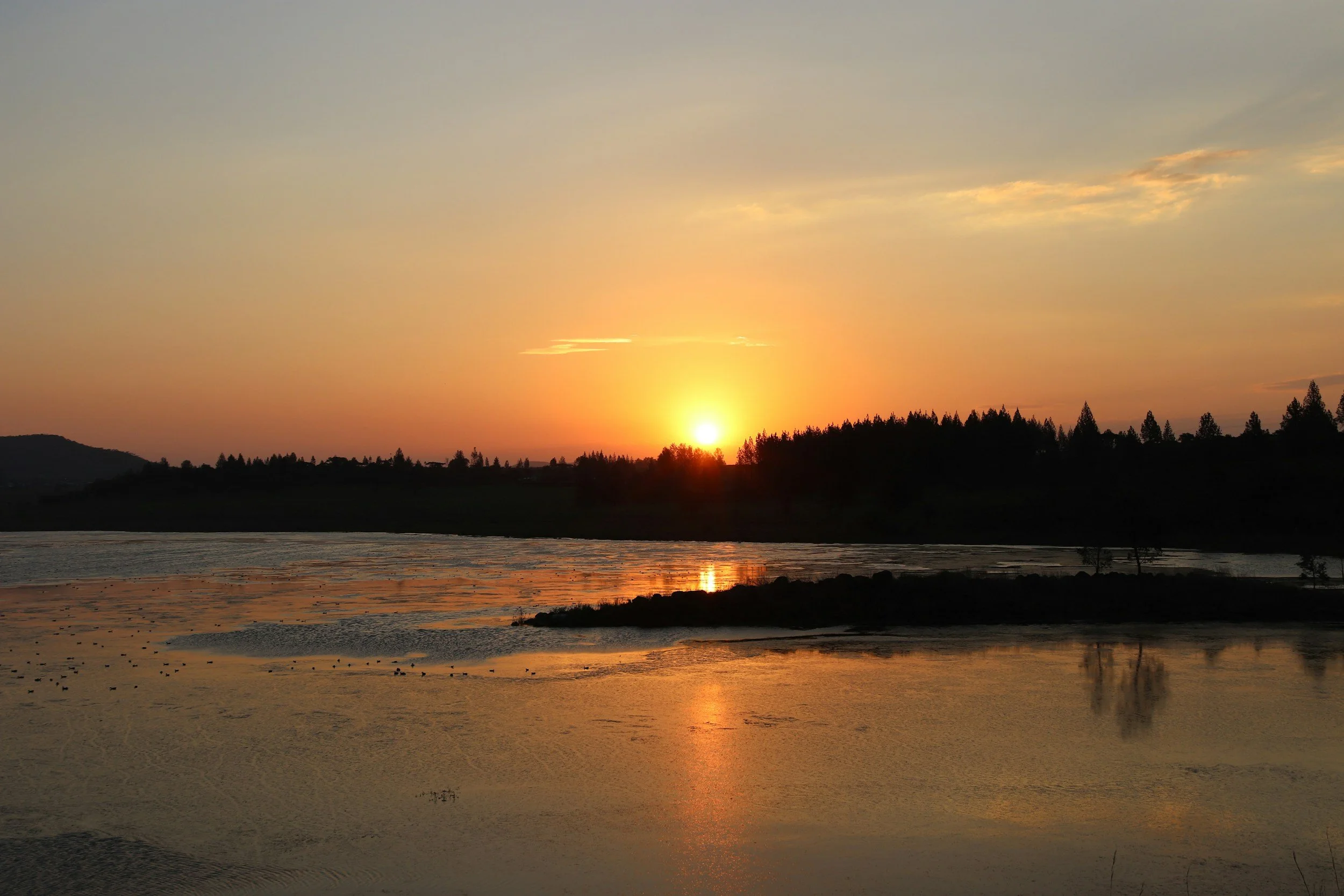 Sunset over a river with a tree-lined horizon and colorful sky.
