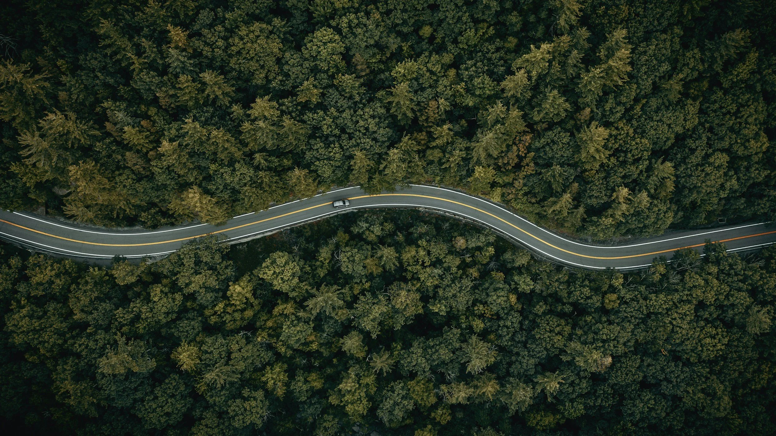 An aerial view of a winding road through a dense forest depicting isolation.