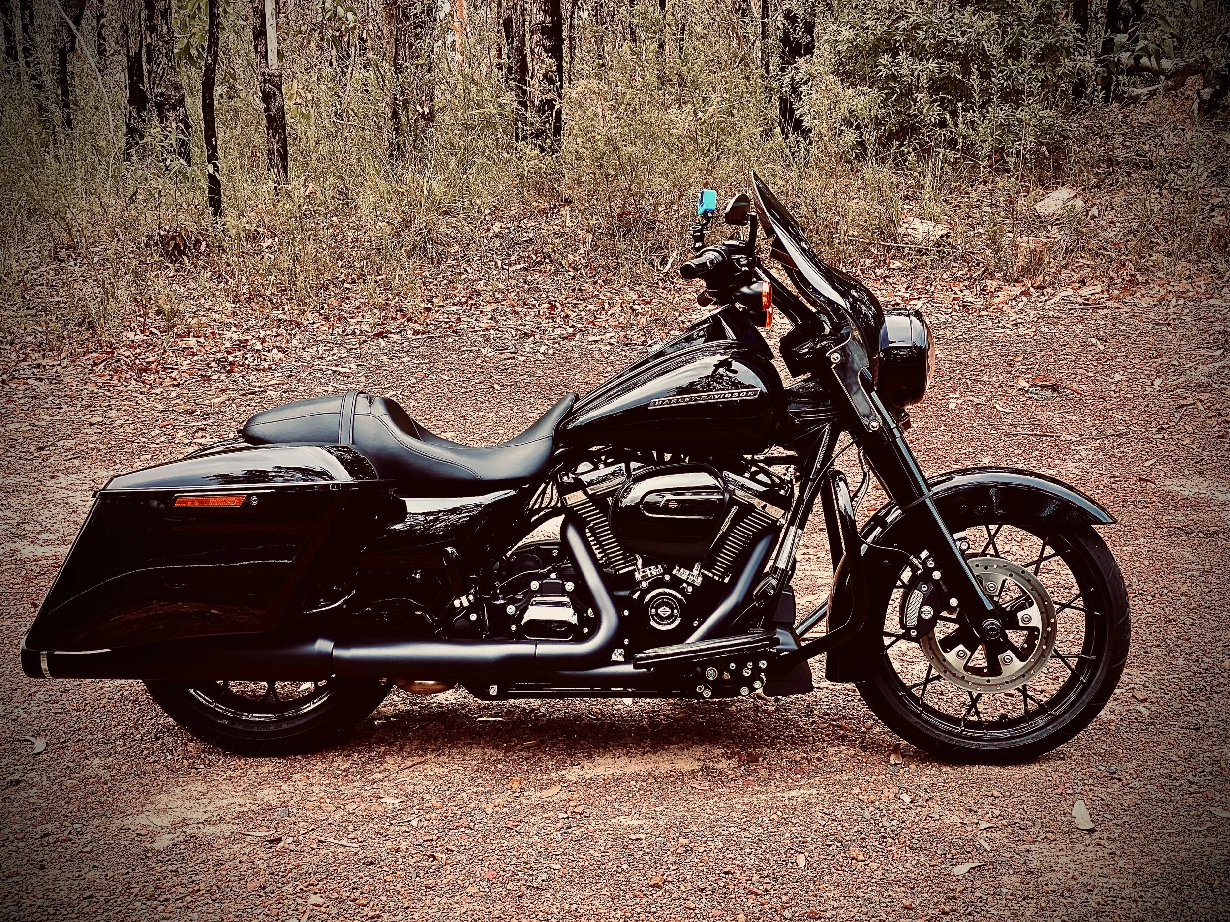 A black Harley-Davidson Road King motorcycle parked on a dirt trail with trees and dry leaves in the background.