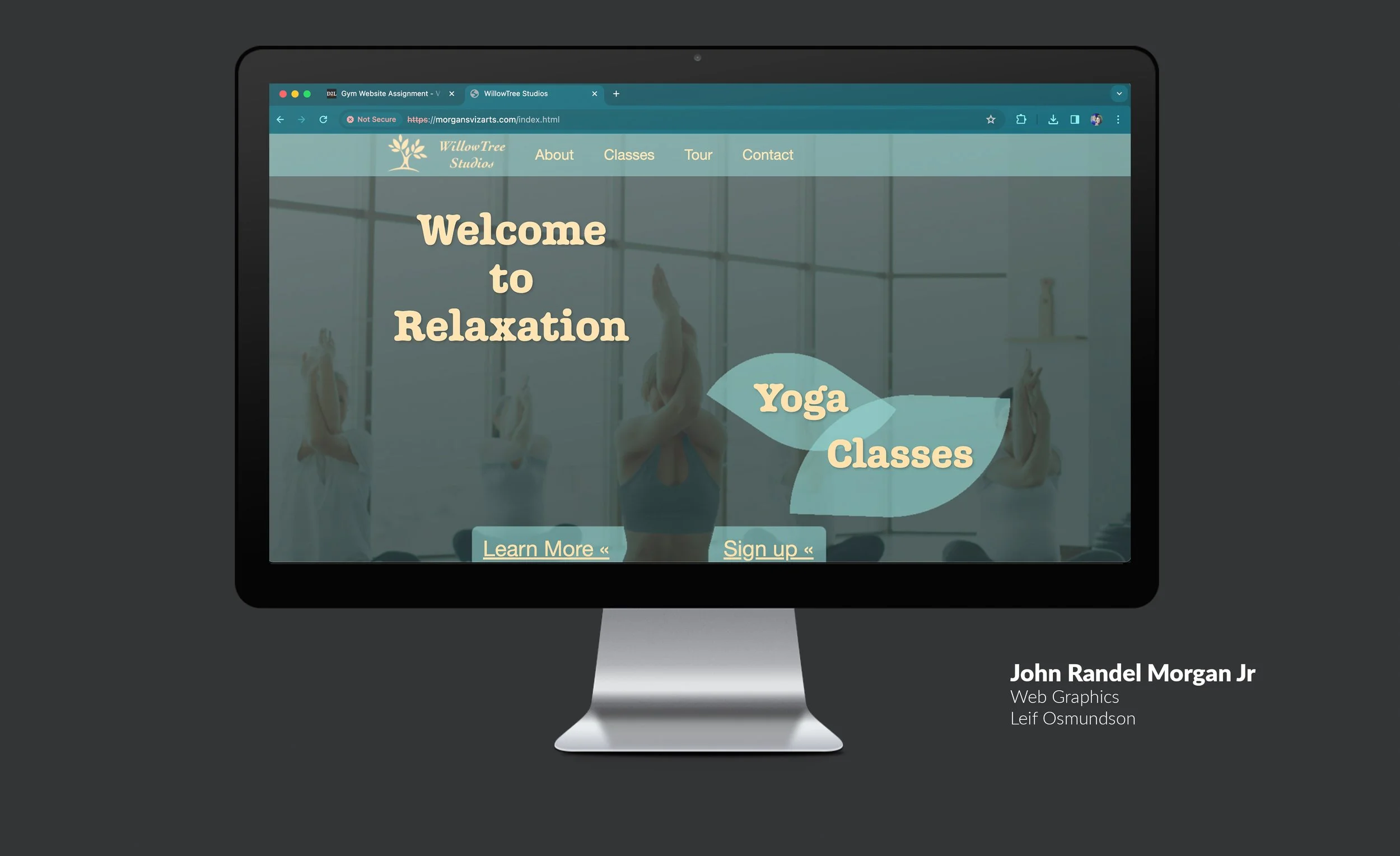 John.Morgan.Web.Graphics.Leif.Osmundson copy.jpg