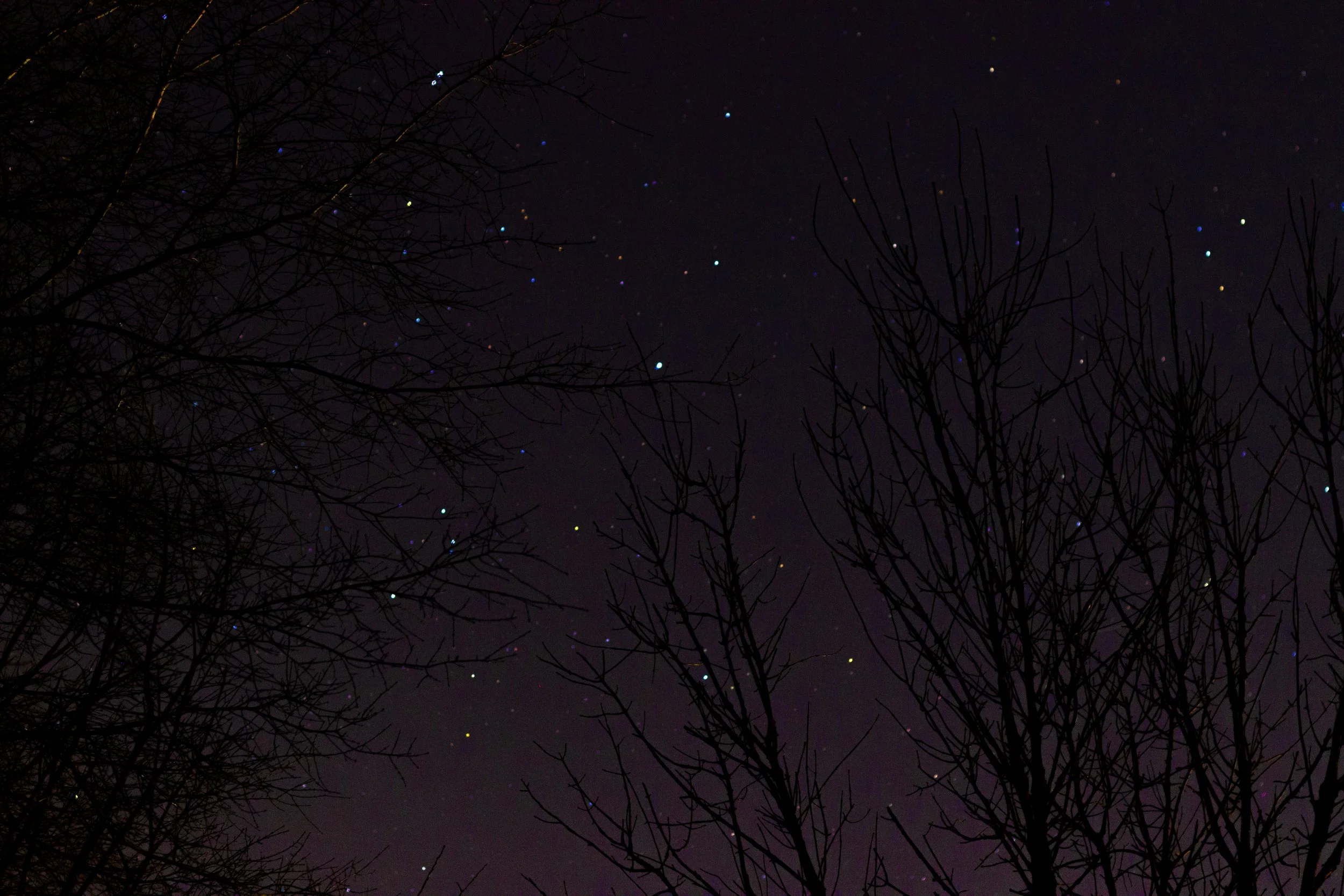 John Morgan - Star Image - Zippe.jpg