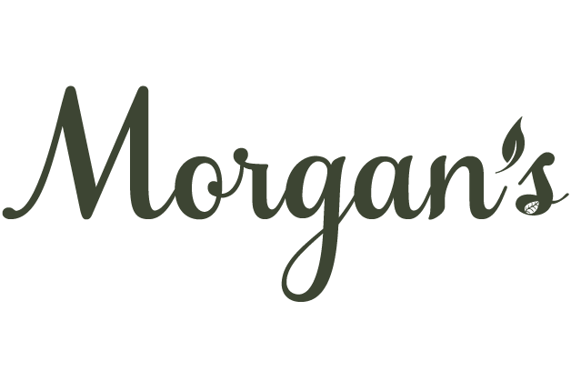 Morgan's Viz Arts