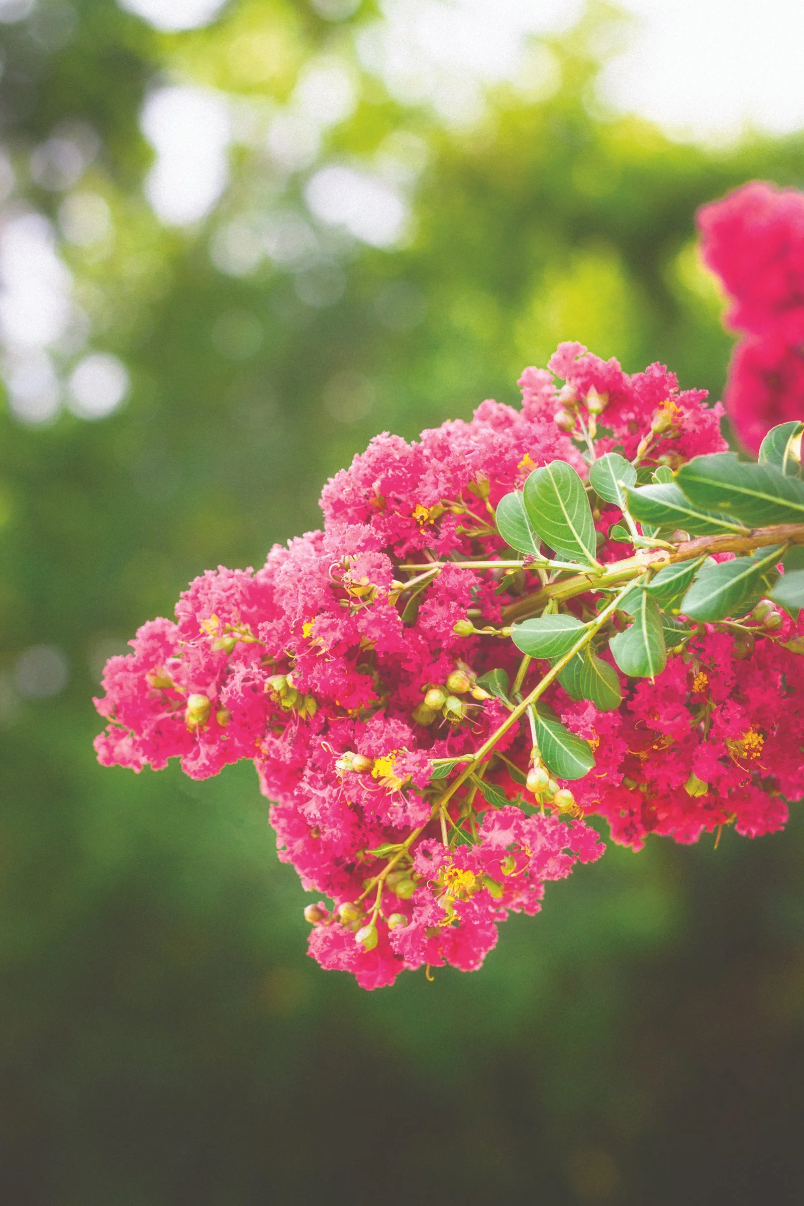 07-06-2024-4 copy.jpg