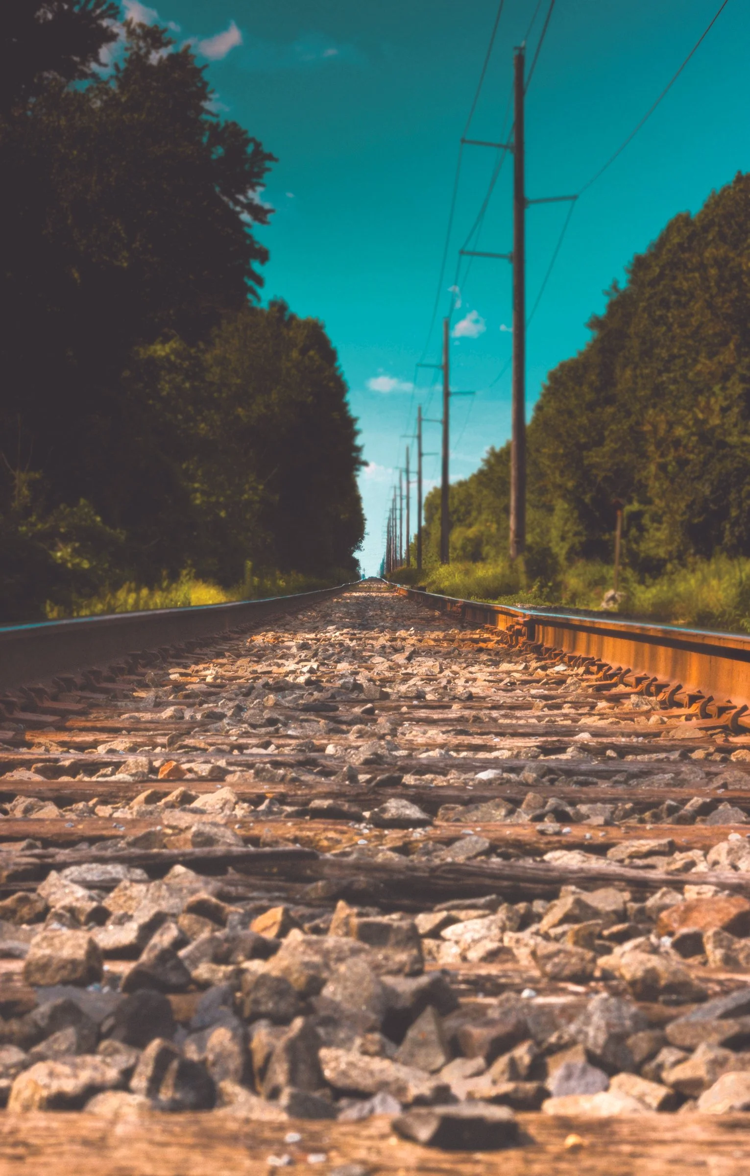 07-06-2024-5 copy.jpg