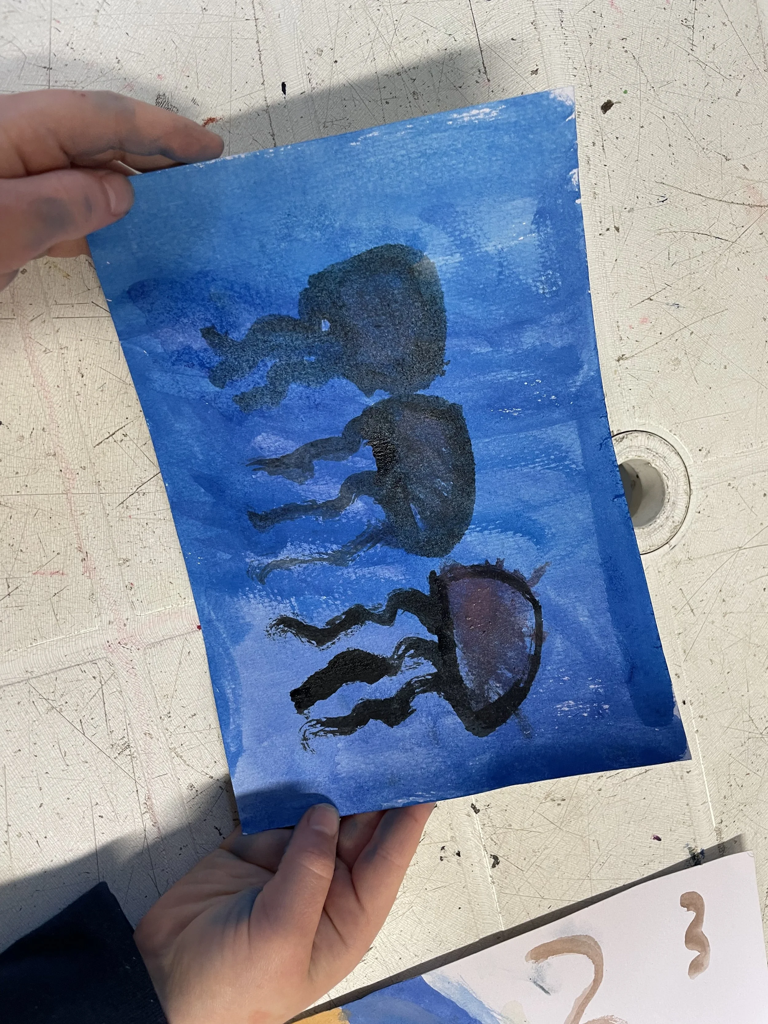 IMG_0899.jpg