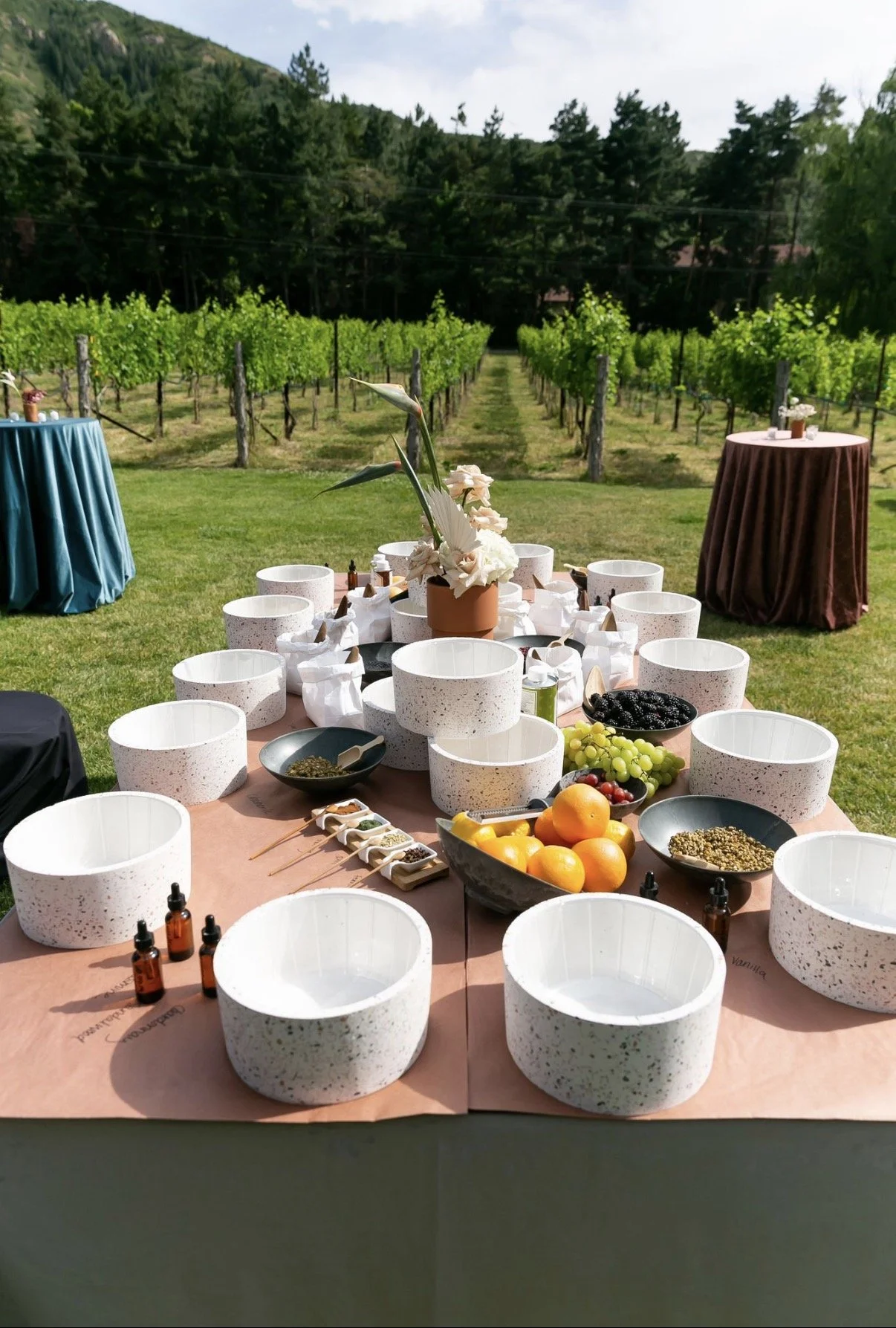 HANDWASHING VINEYARD UTAH DMC EVENT DESIGNER