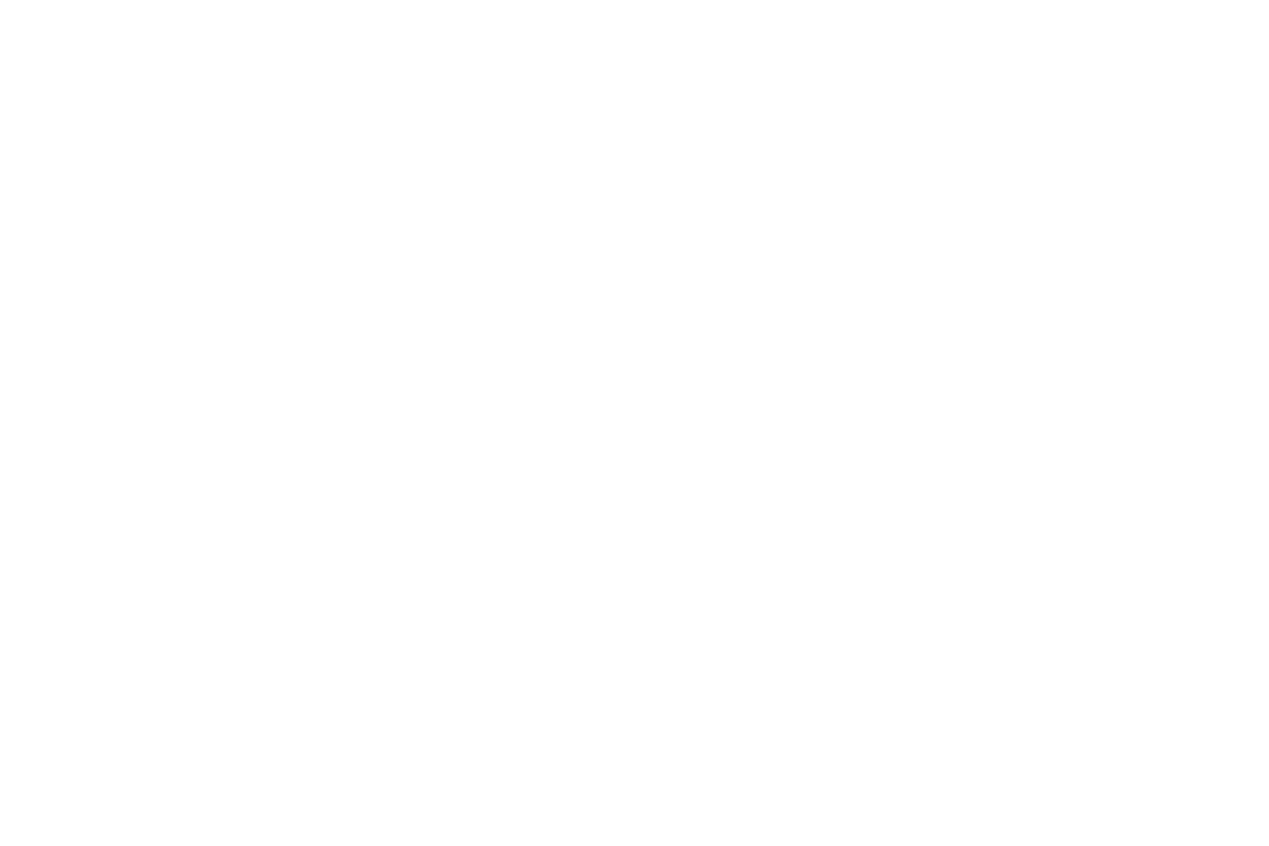 Belmond Bellini Club logo with stylized floral emblem above the text