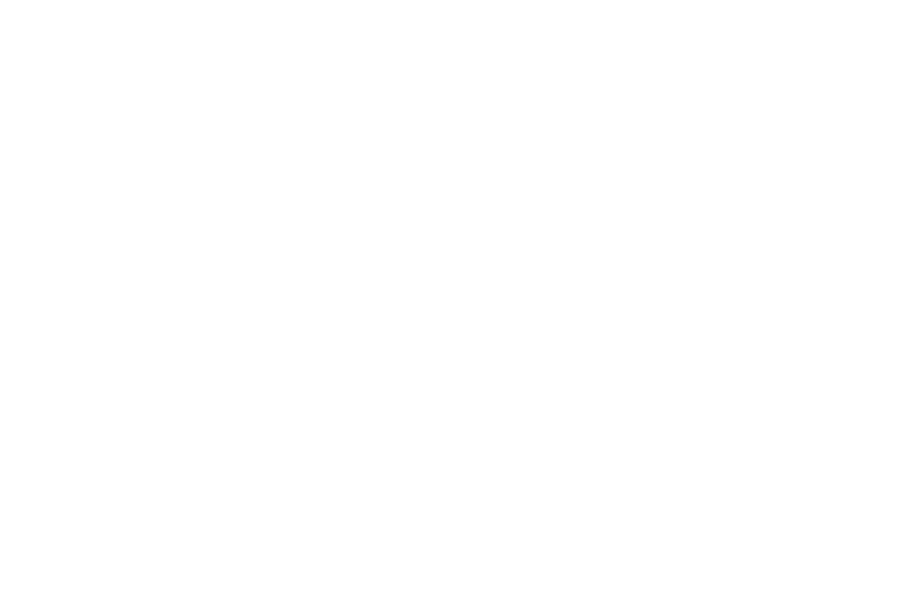 Logo of Four Seasons Preferred Partner featuring a stylized white tree on a black background with the text 'Four Seasons Preferred Partner' below.