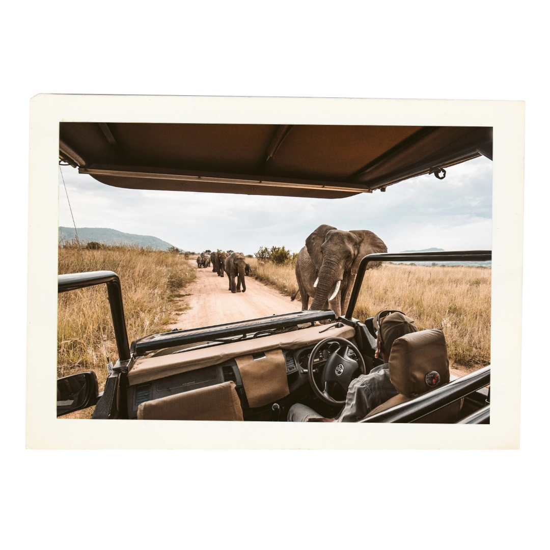 View from a safari vehicle driving on a dirt road, with elephants walking in the distance in a grassland landscape.