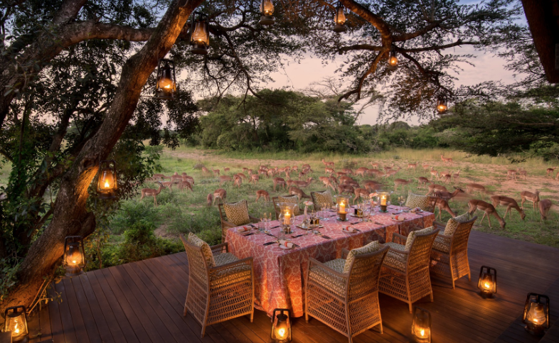Dinner table on a porch in south africa surrounded by antelope
