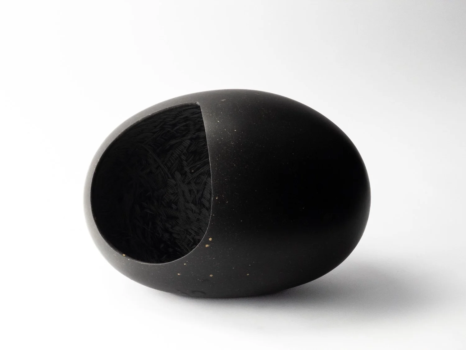 Blackwood-ootheca-basalt-2021-01.jpg