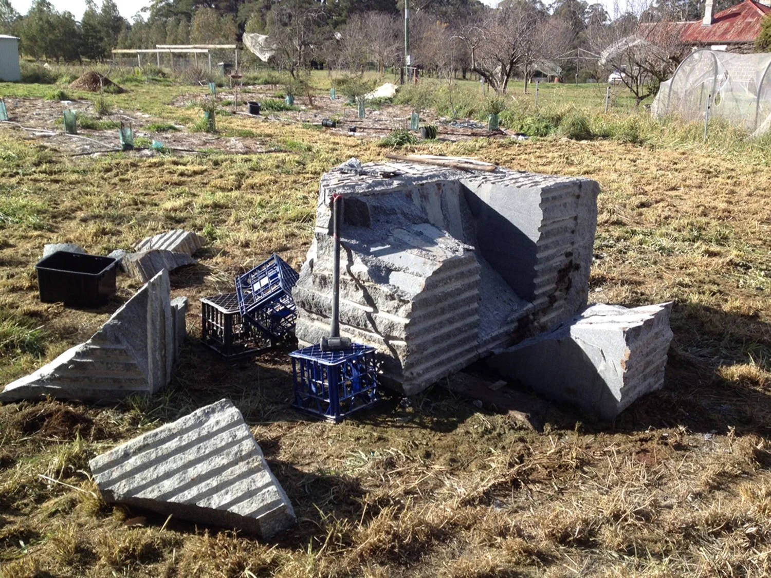 Broken concrete blocks and plastic crates scattered in a garden with some plants and a greenhouse in the background.