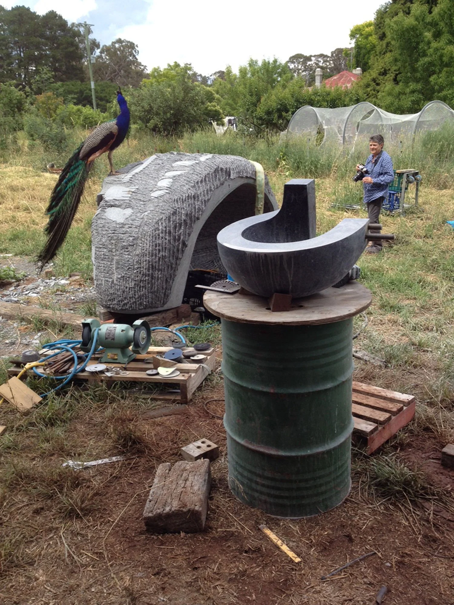 A peacock standing on a sculpture in an outdoor workshop area. The sculpture is cylindrical with a smooth black surface and curved shapes. There are tools, wires, and tools in the background, alongside a person holding a camera. The area is surrounde