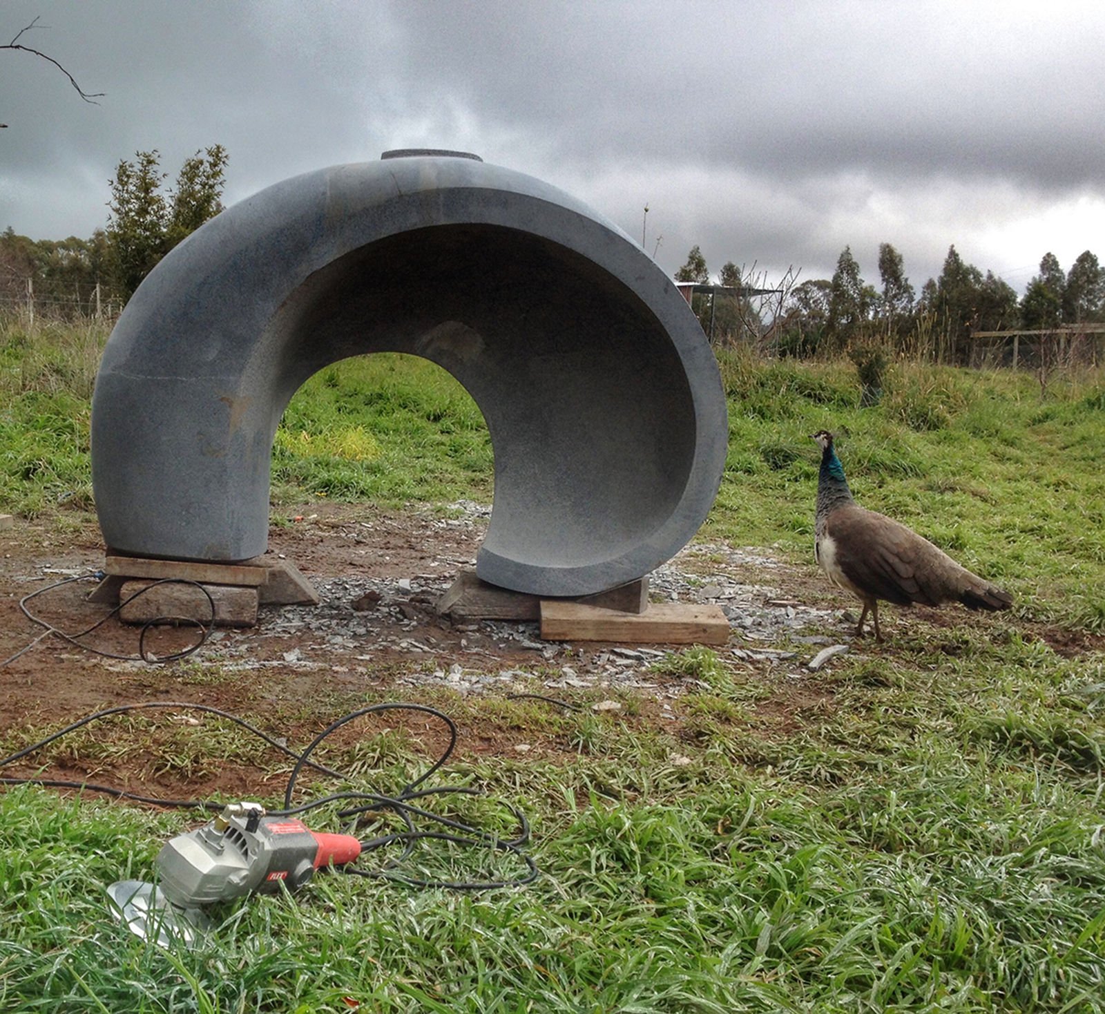 A large, circular grey sculpture outdoors on wooden blocks, with a peacock standing nearby on green grass, overcast sky in the background.